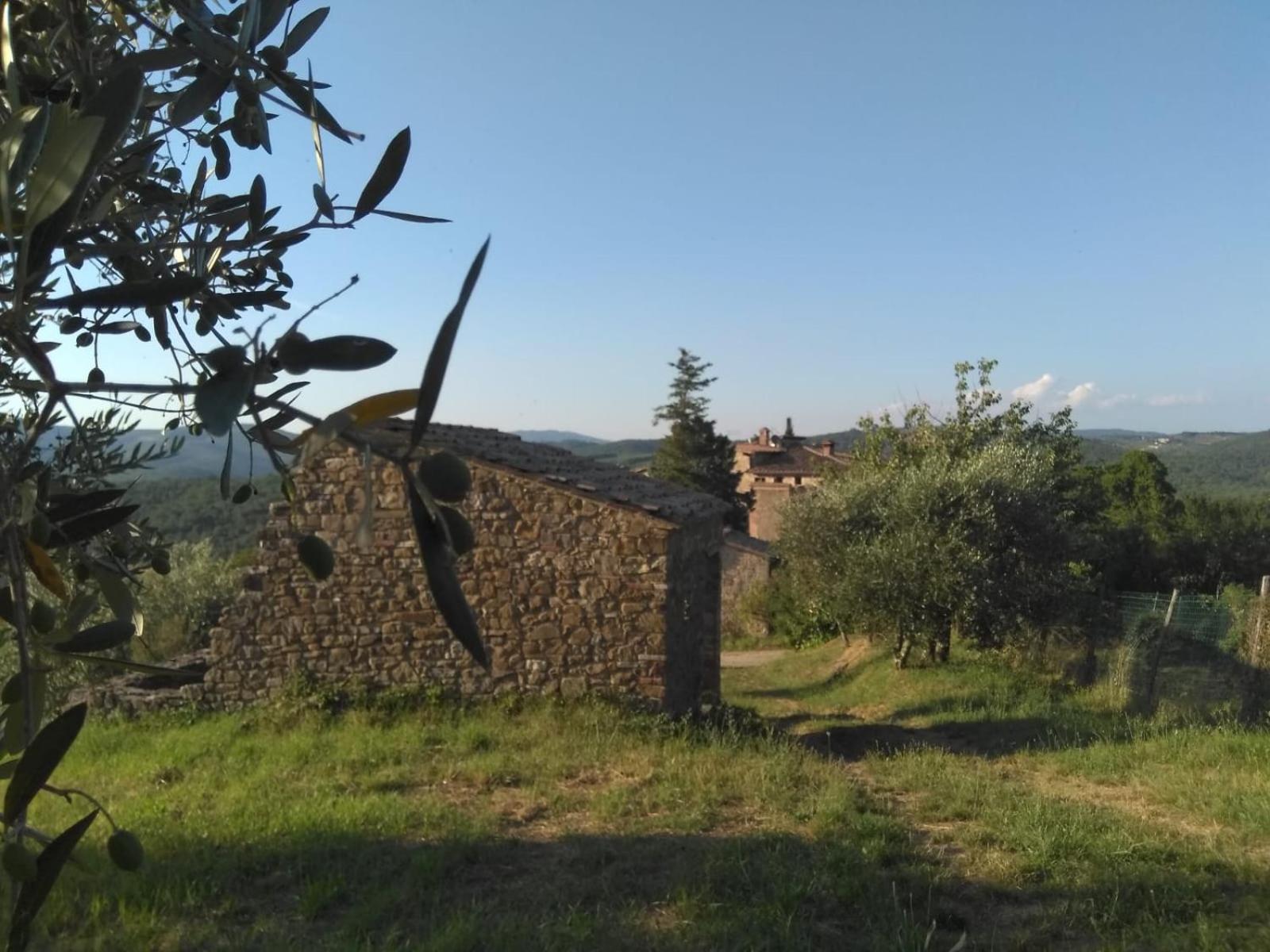 Borgo Carpineto