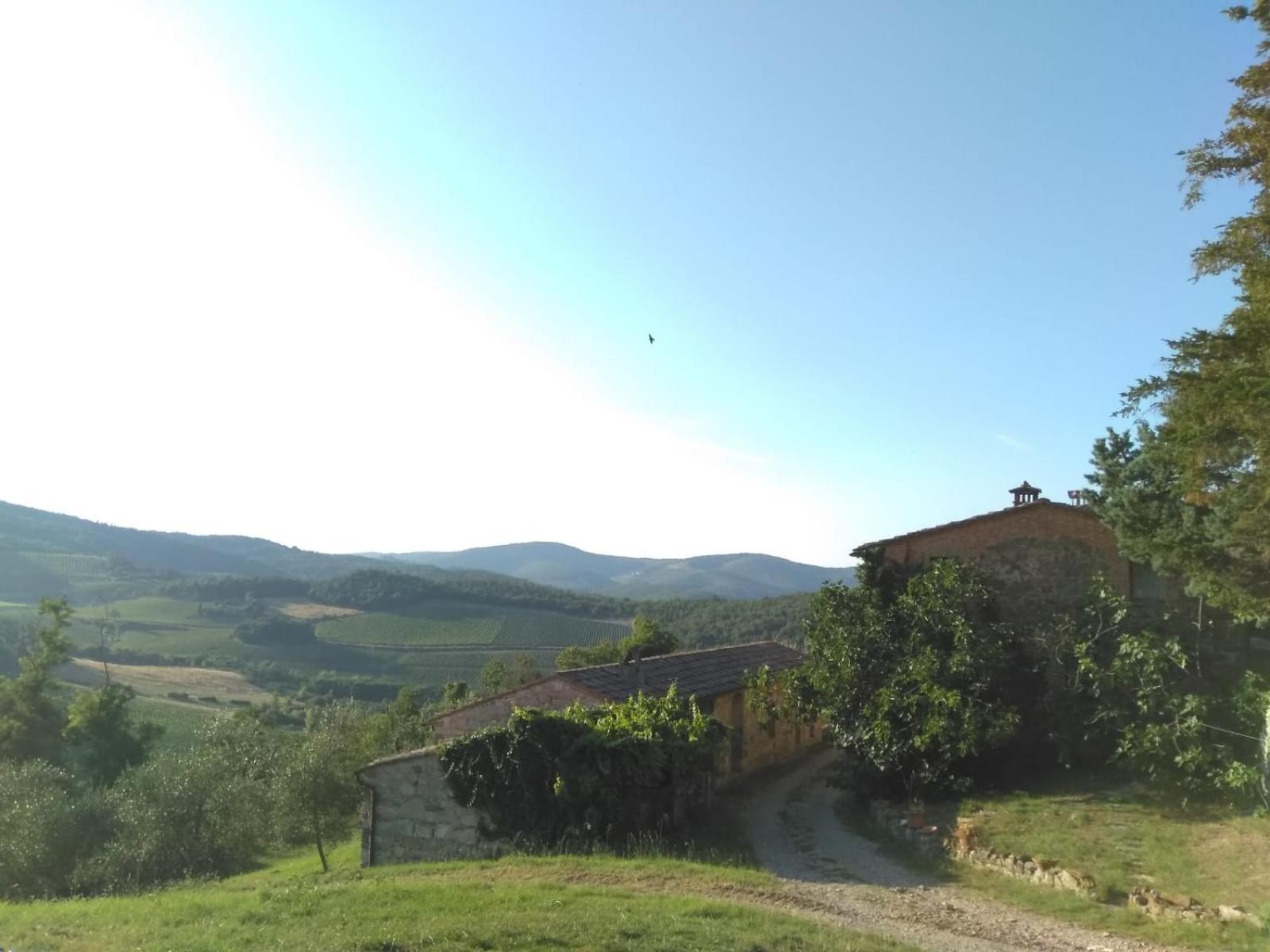 Borgo Carpineto