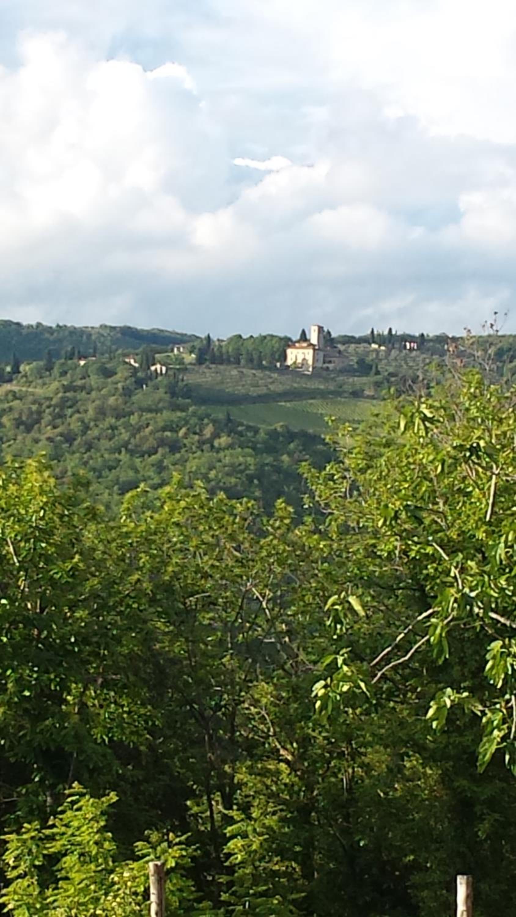 Borgo Carpineto