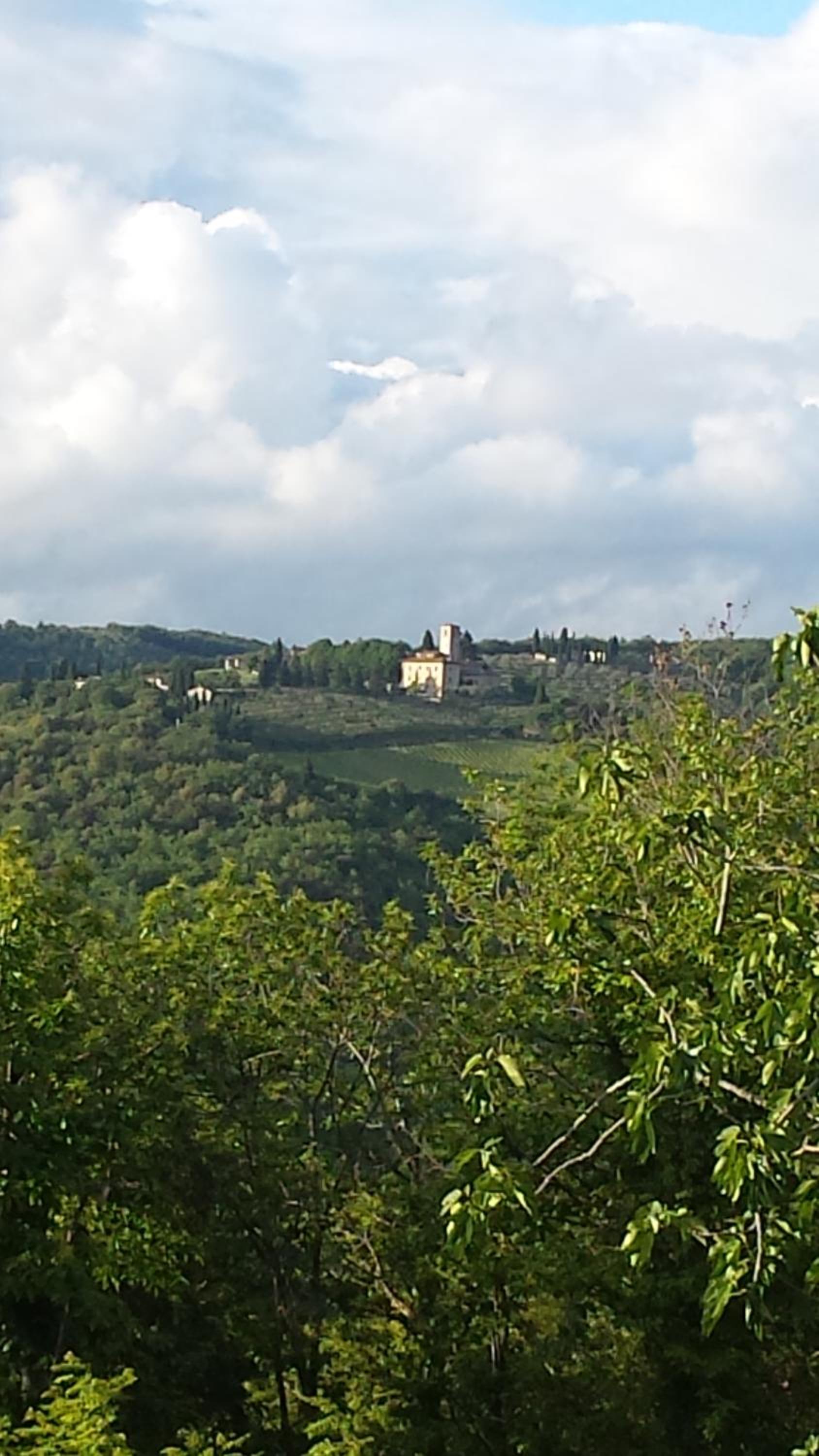 Borgo Carpineto