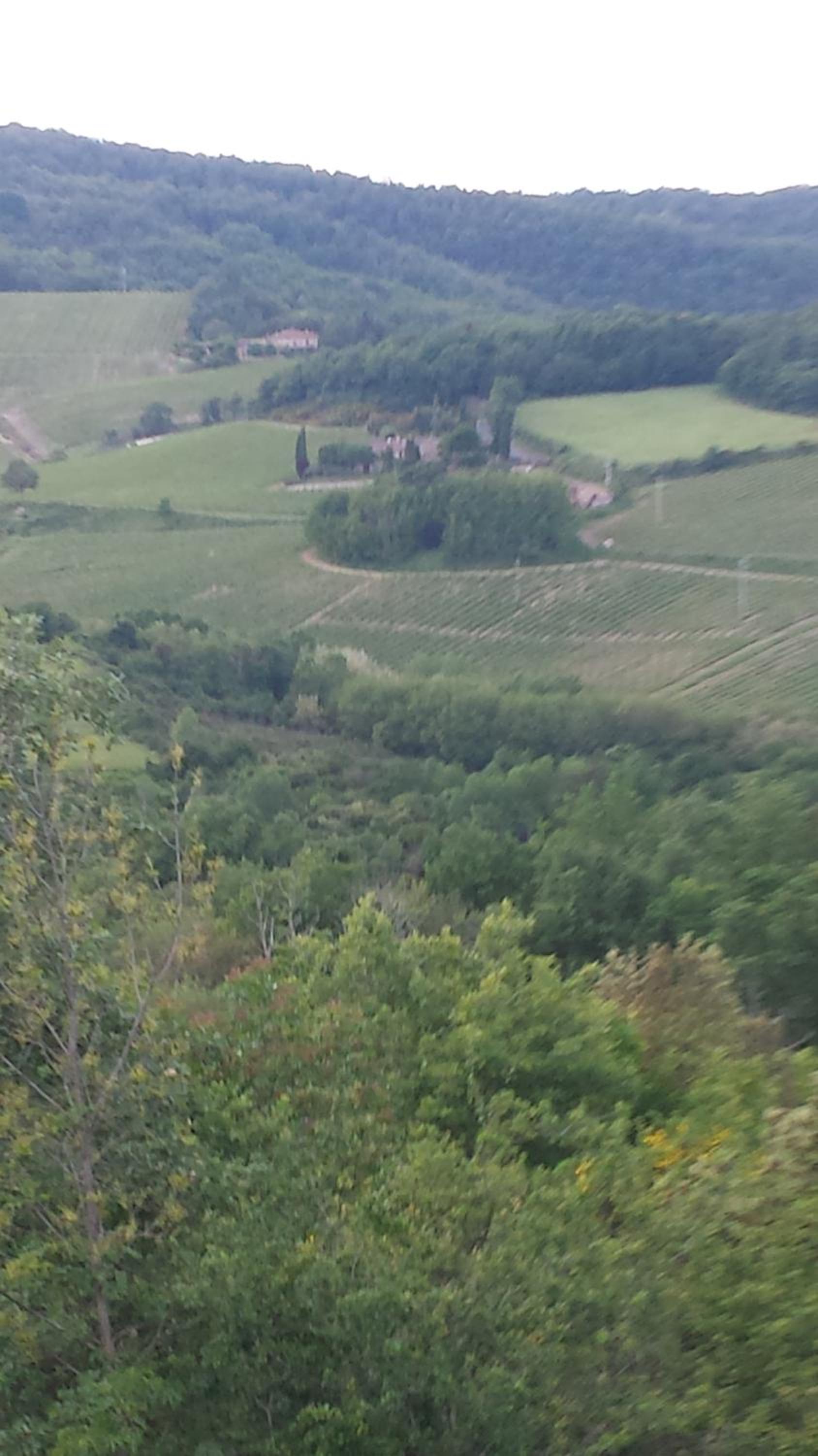 Borgo Carpineto