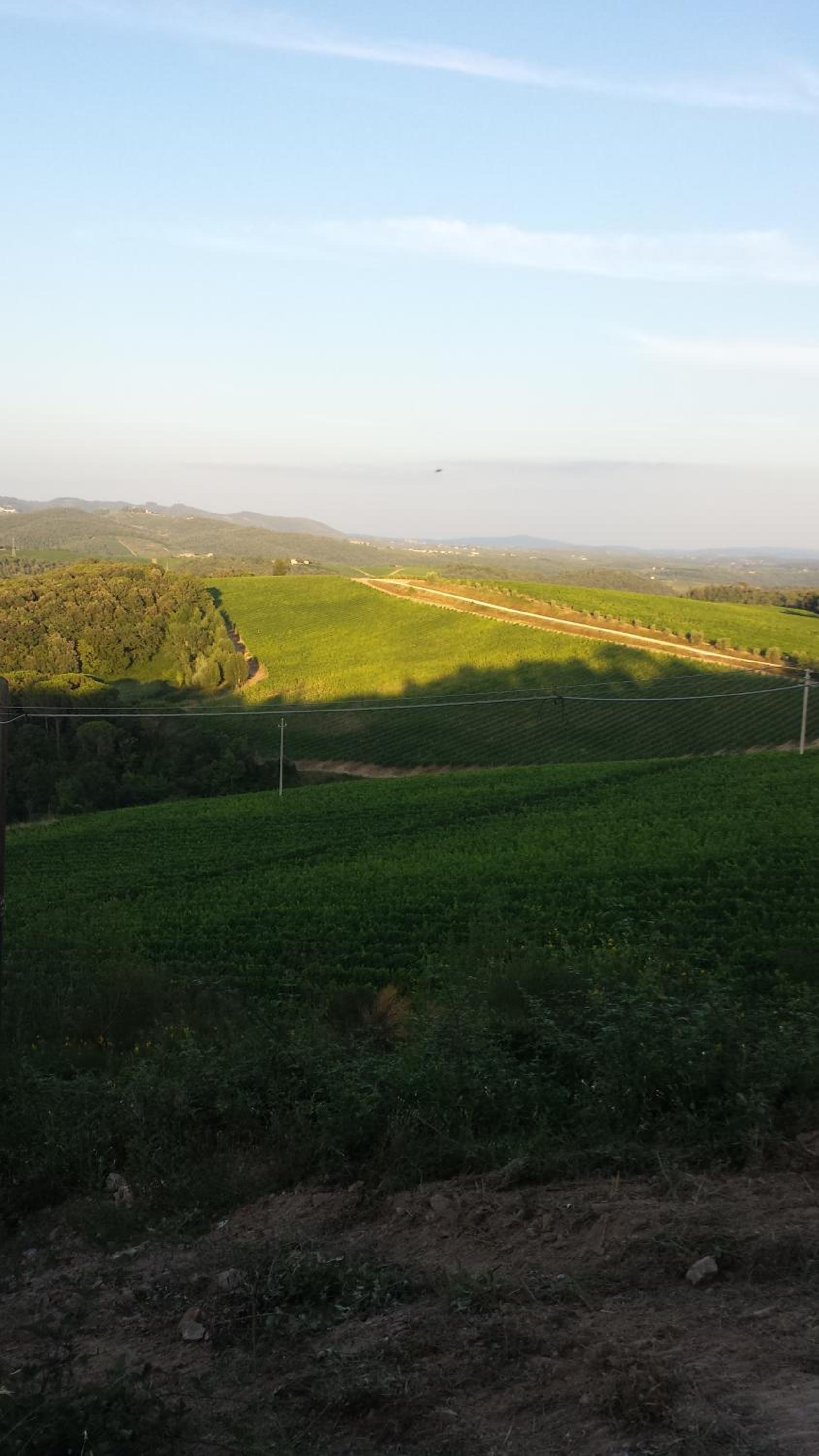 Borgo Carpineto