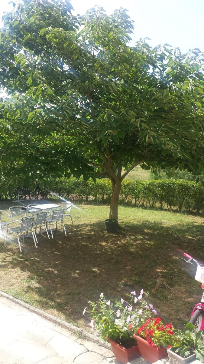 Panorama Kakopleyri Kalabakas