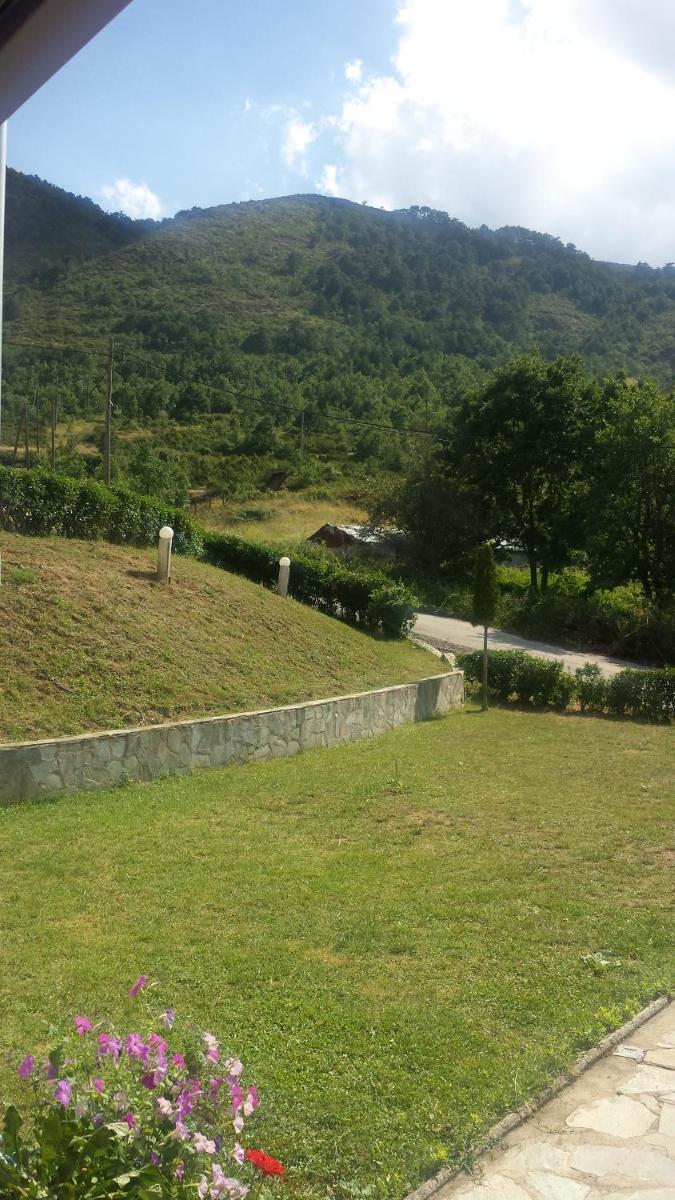 Panorama Kakopleyri Kalabakas
