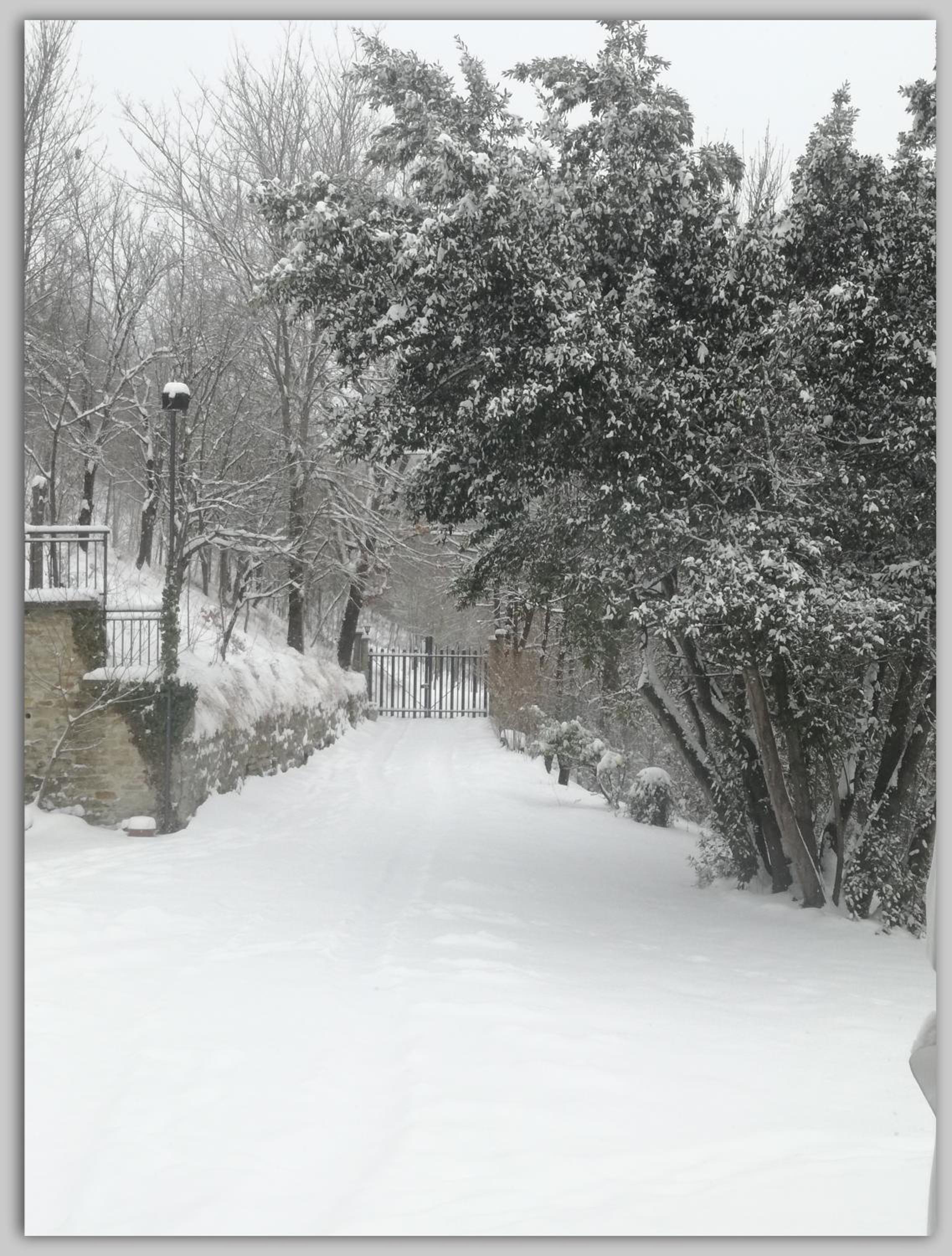 Cascina Luvot