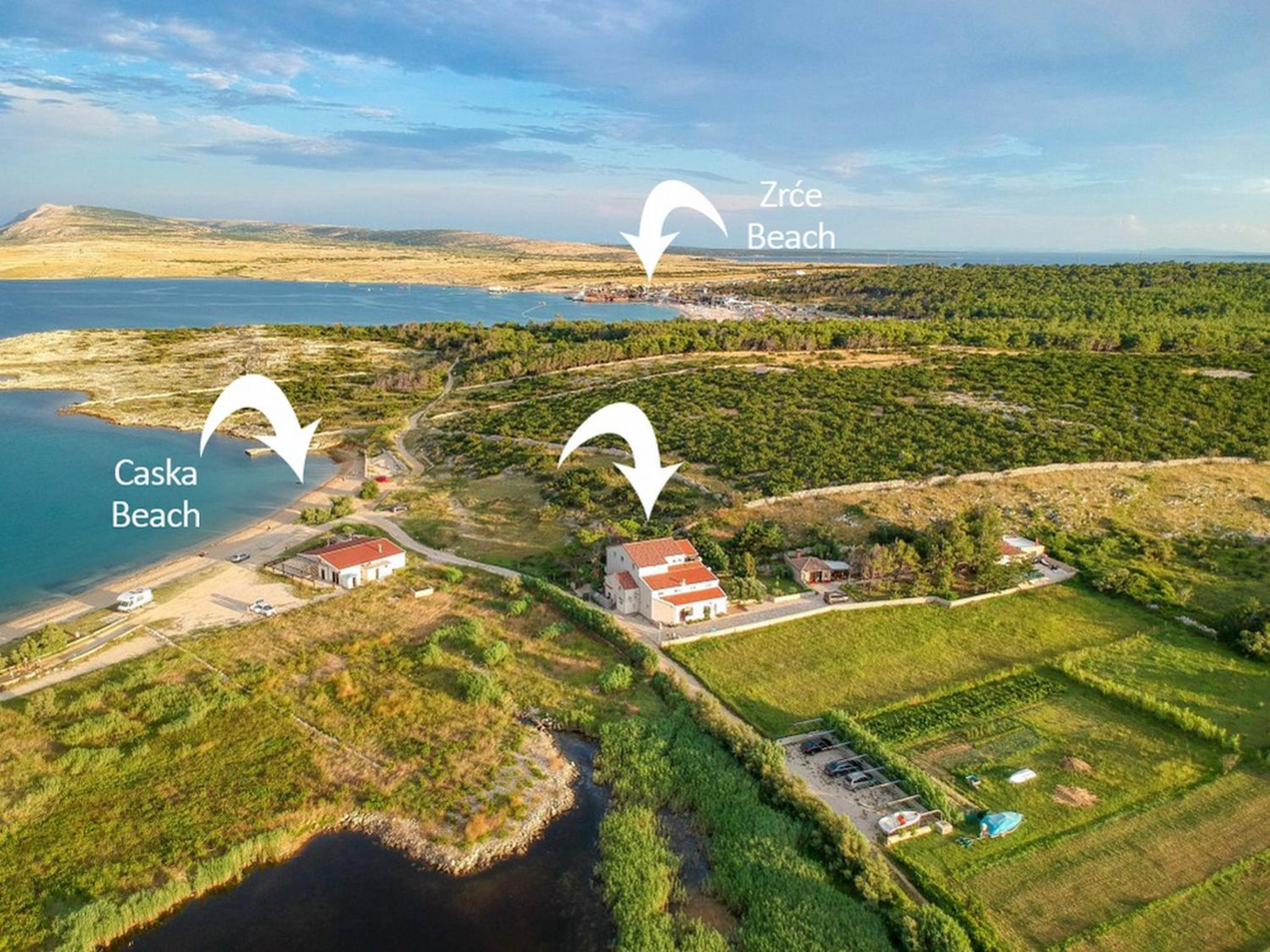 Apartments Dinko