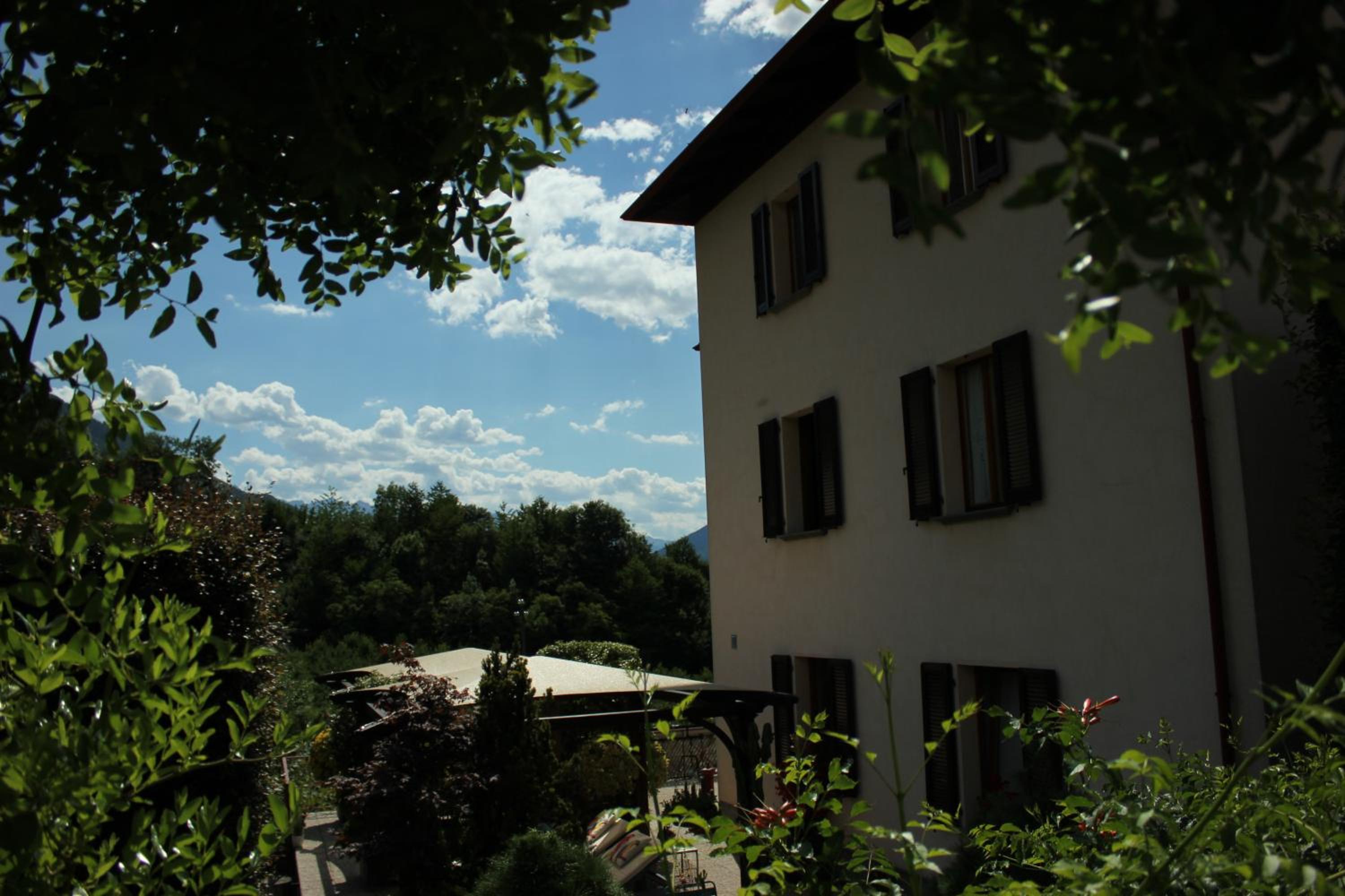 Photo 11