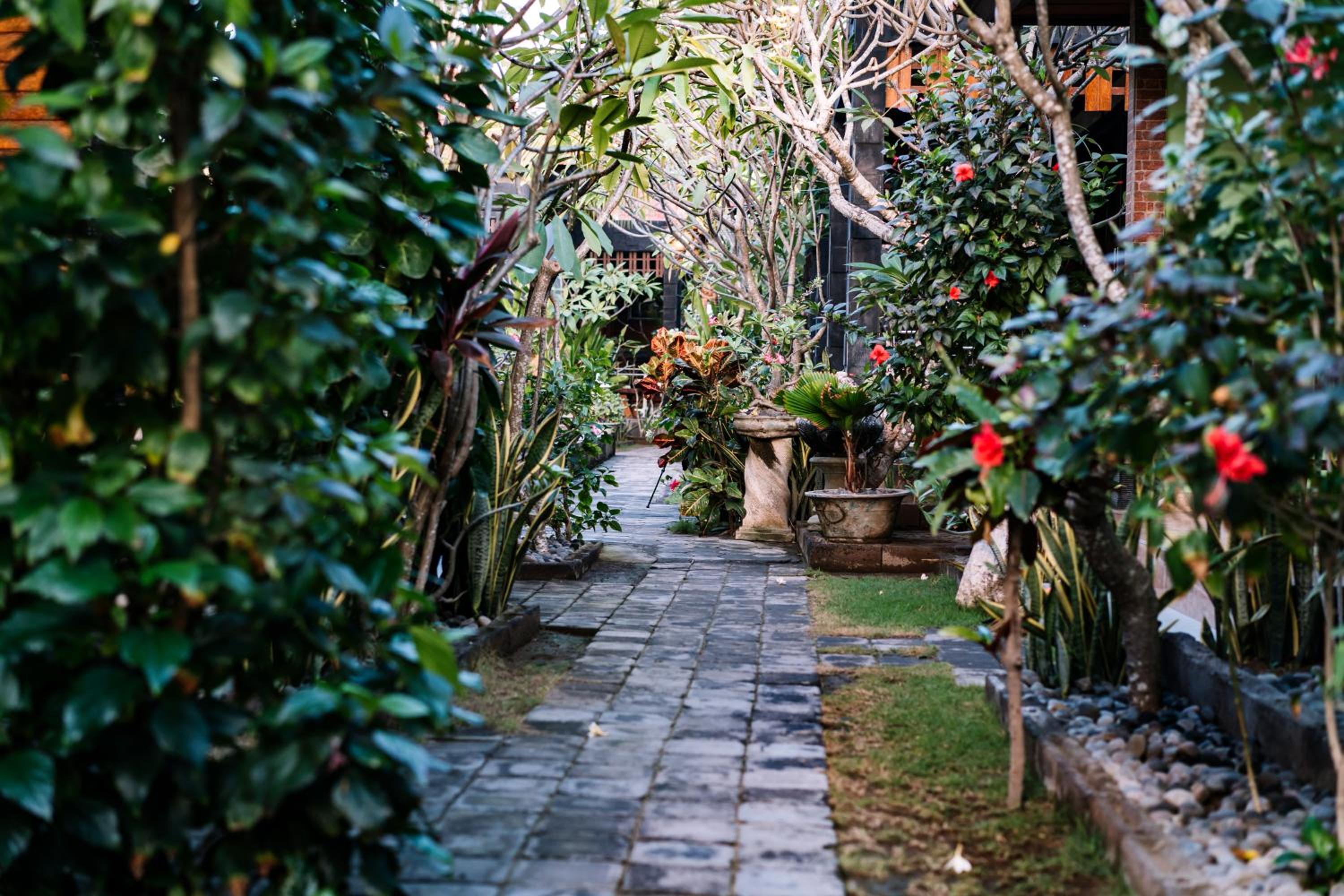 D and B Bungalow's by DeWizZ Management