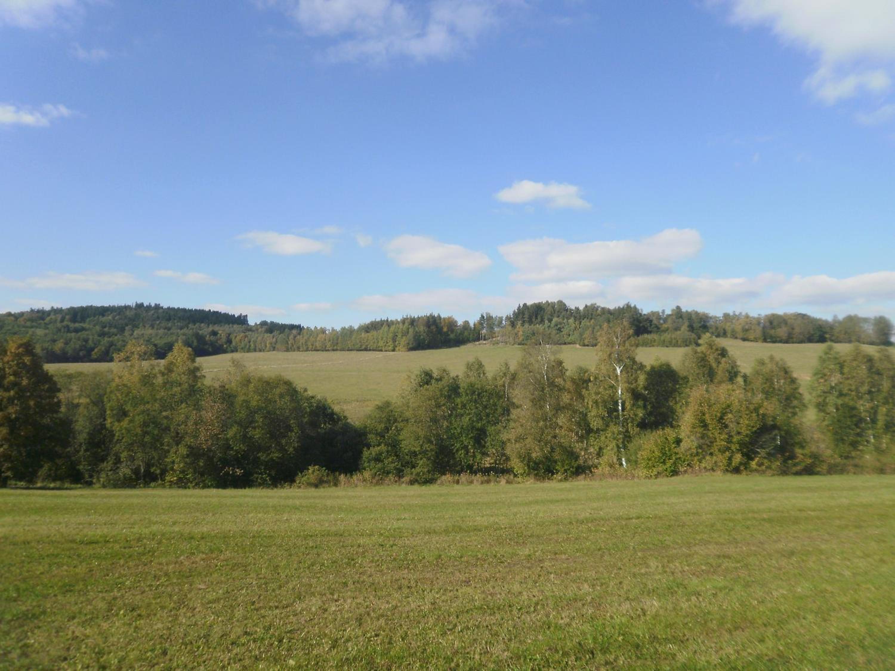Photo 38