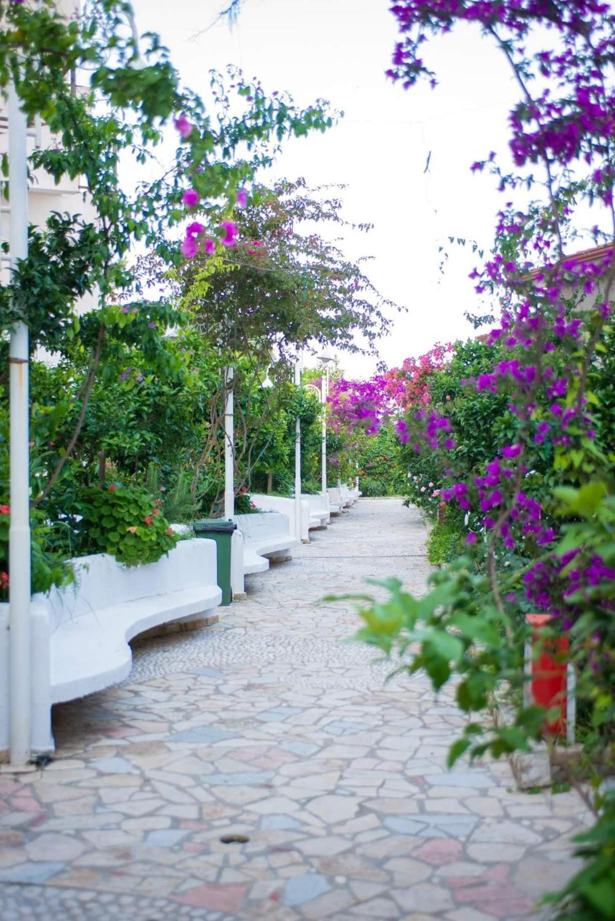 Bougainvill Sunset Villa