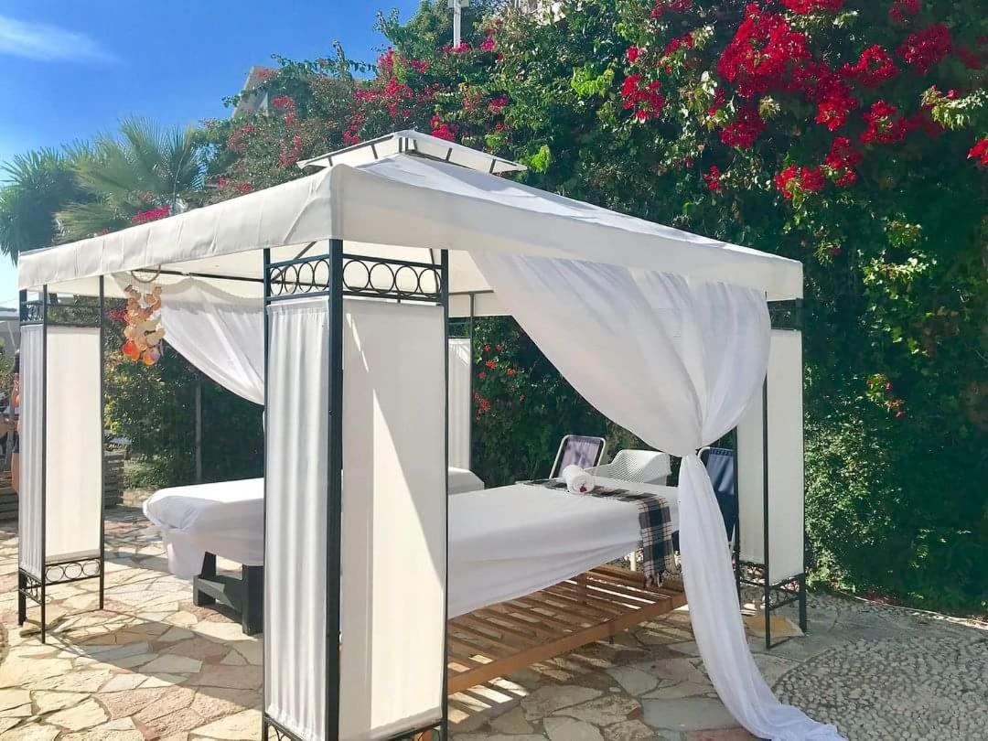 Bougainvill Sunset Villa