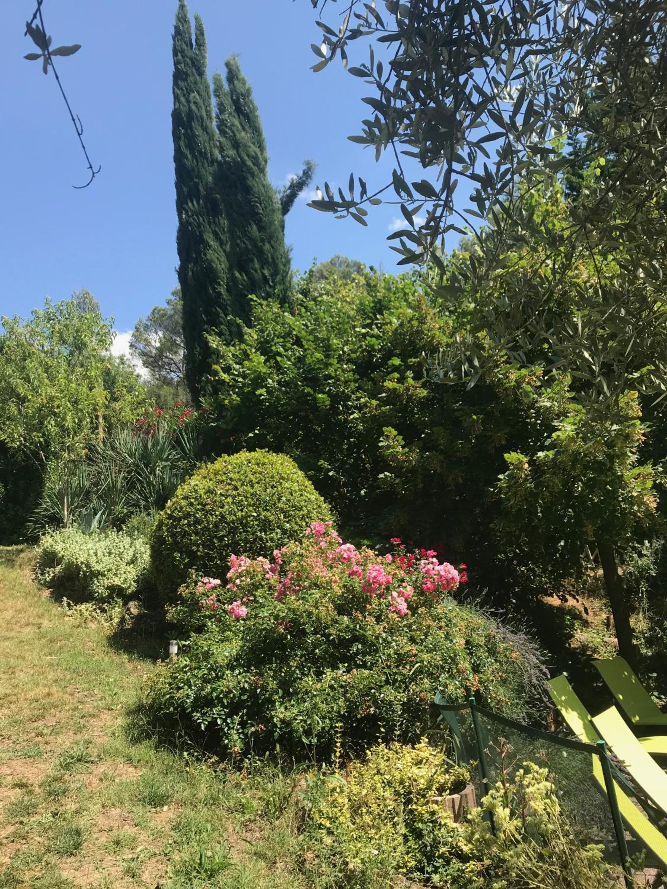 Photo 29