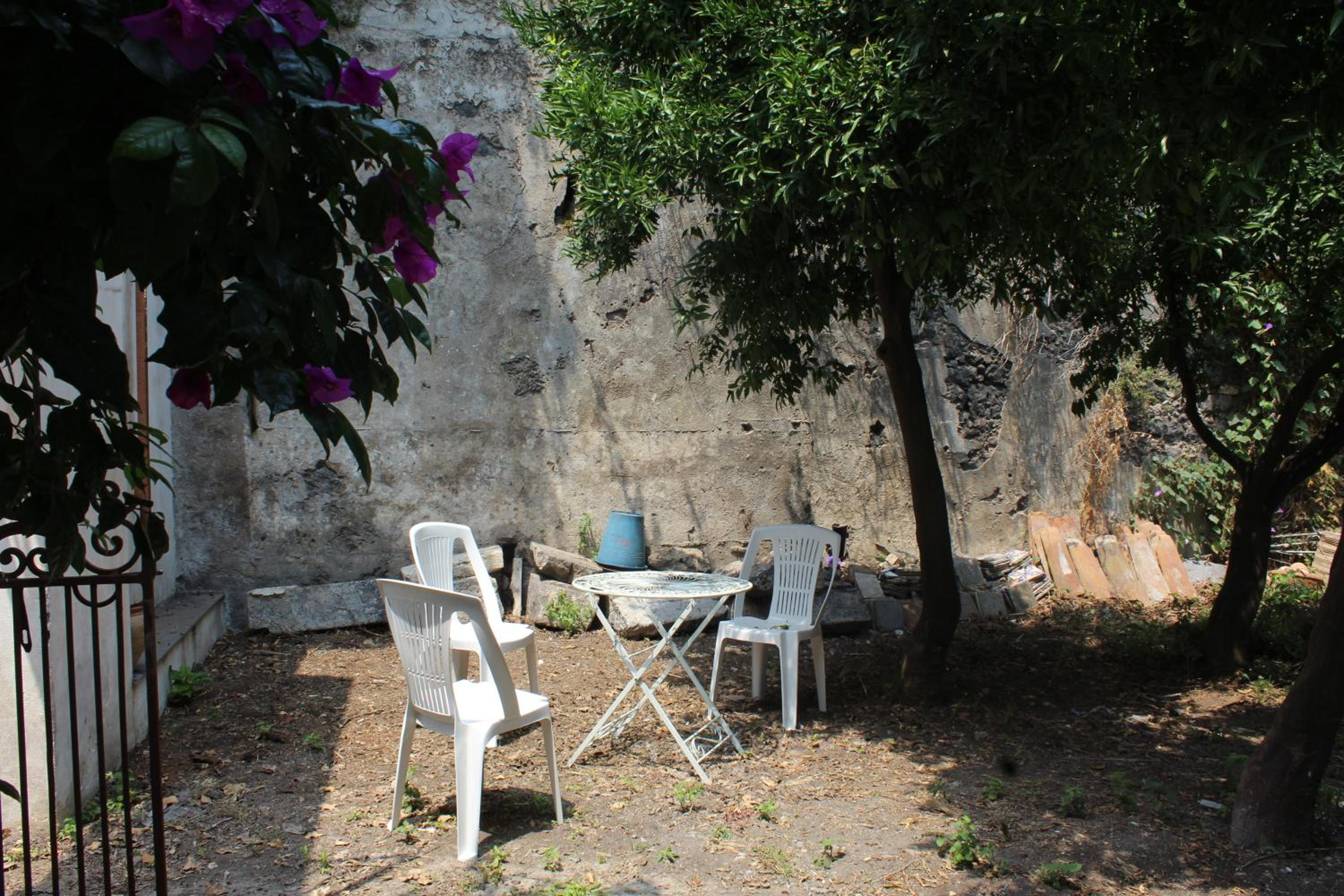 Photo 42