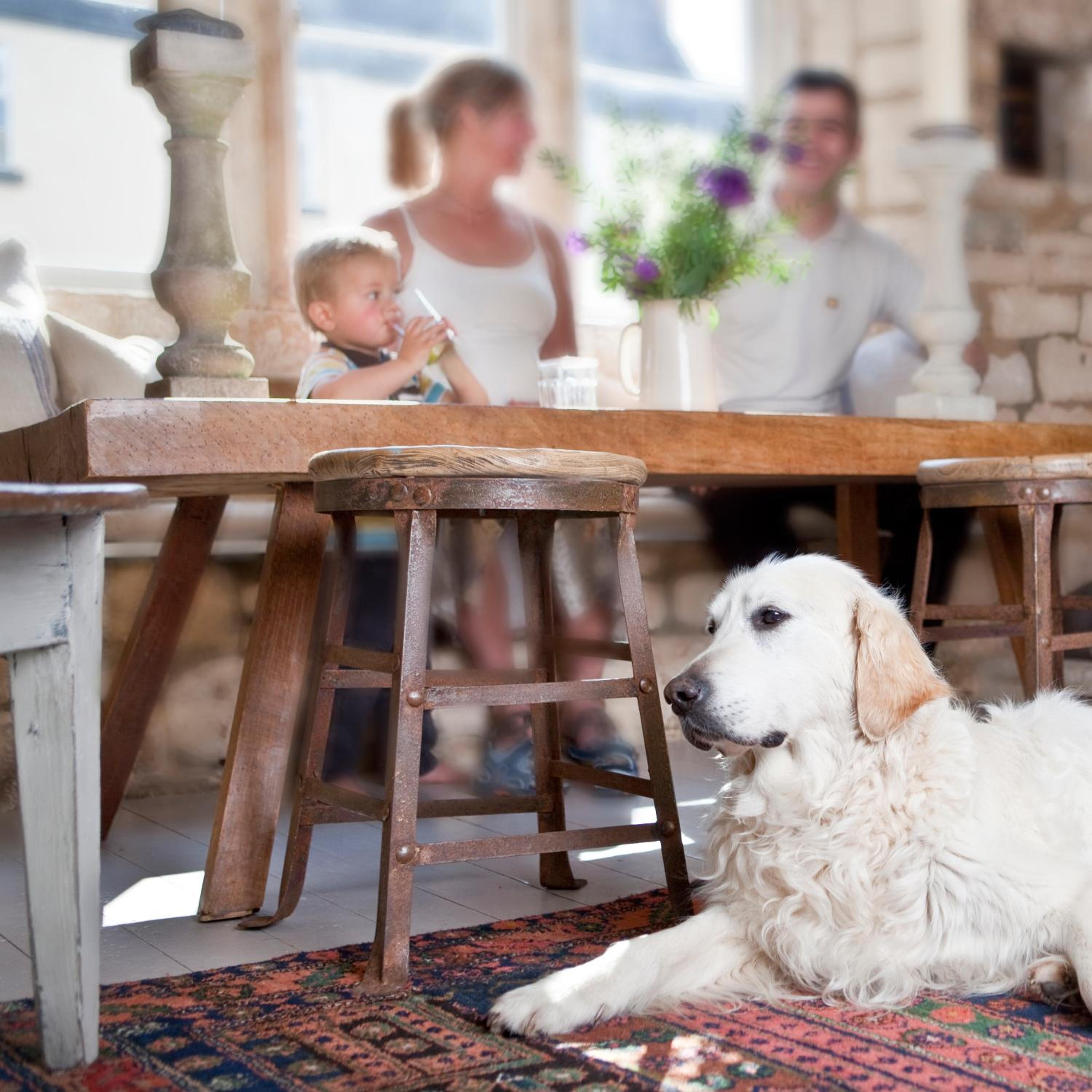 The Lion Inn