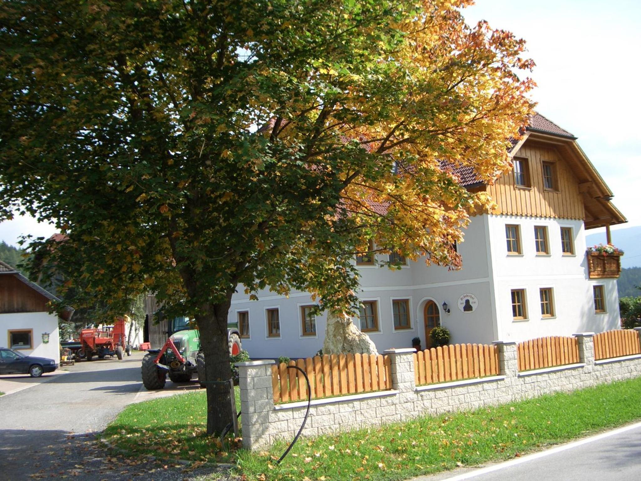 Bio Bauernhof Schoberhof