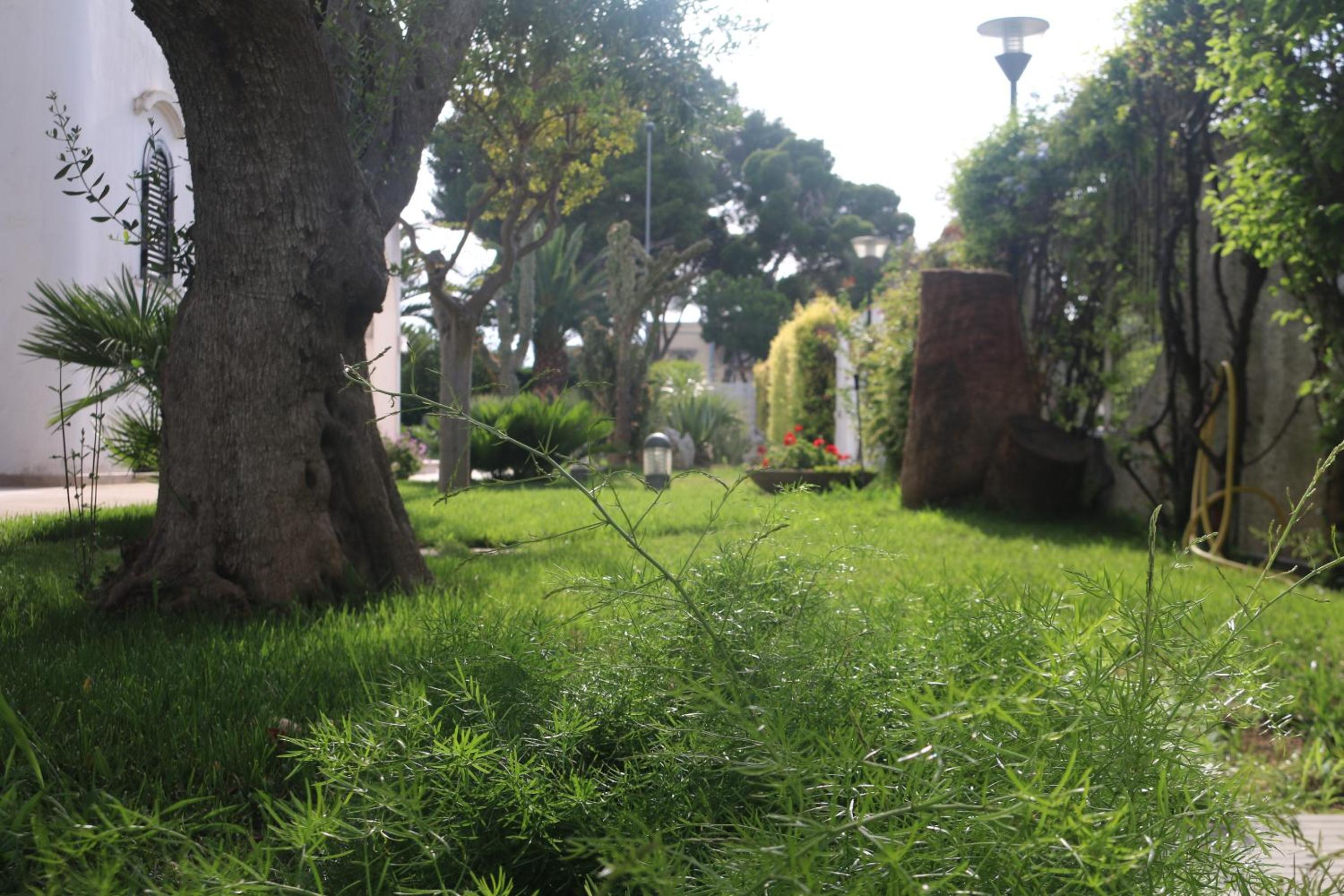 Photo 22