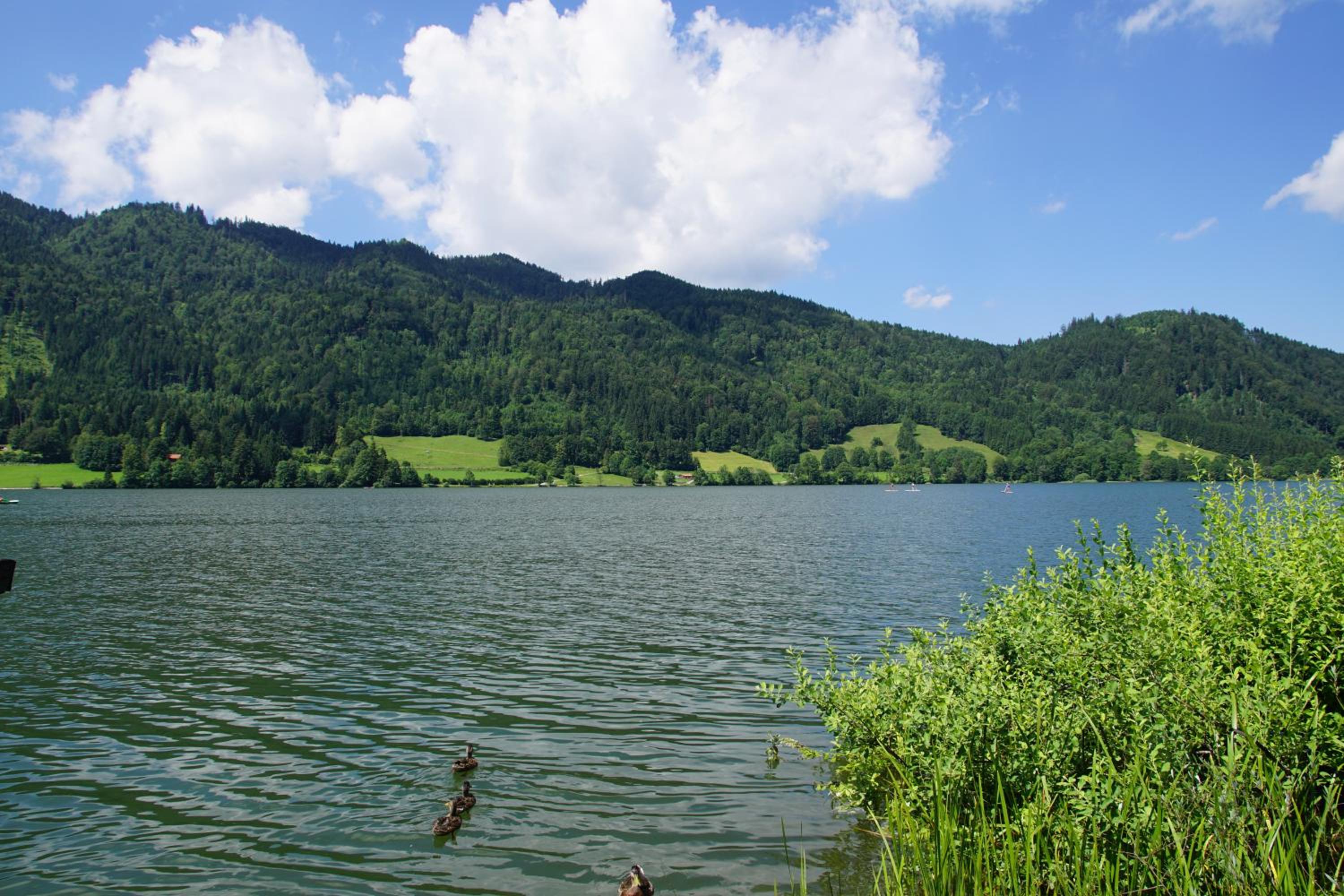 Bucherhof