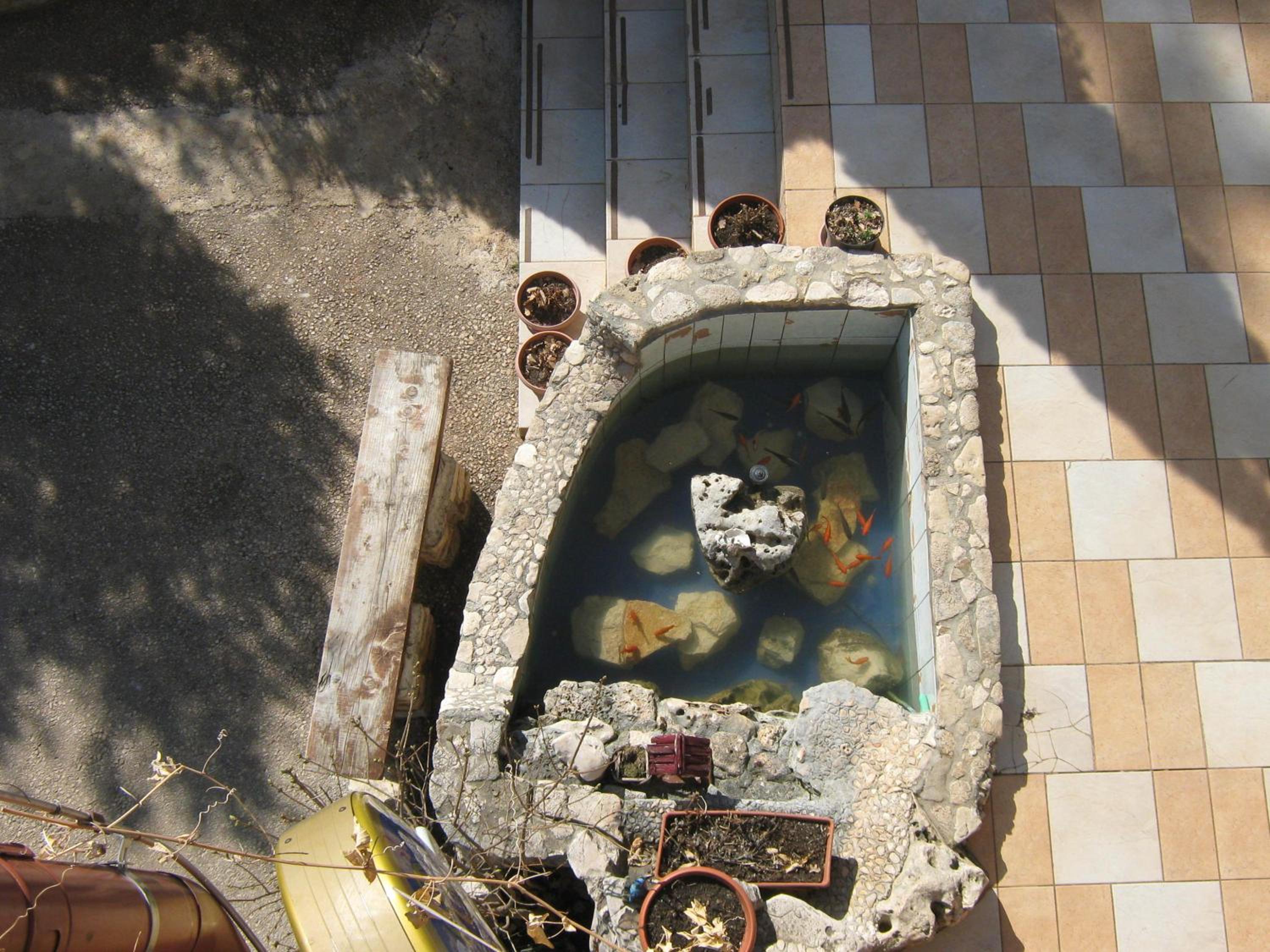 Photo 44