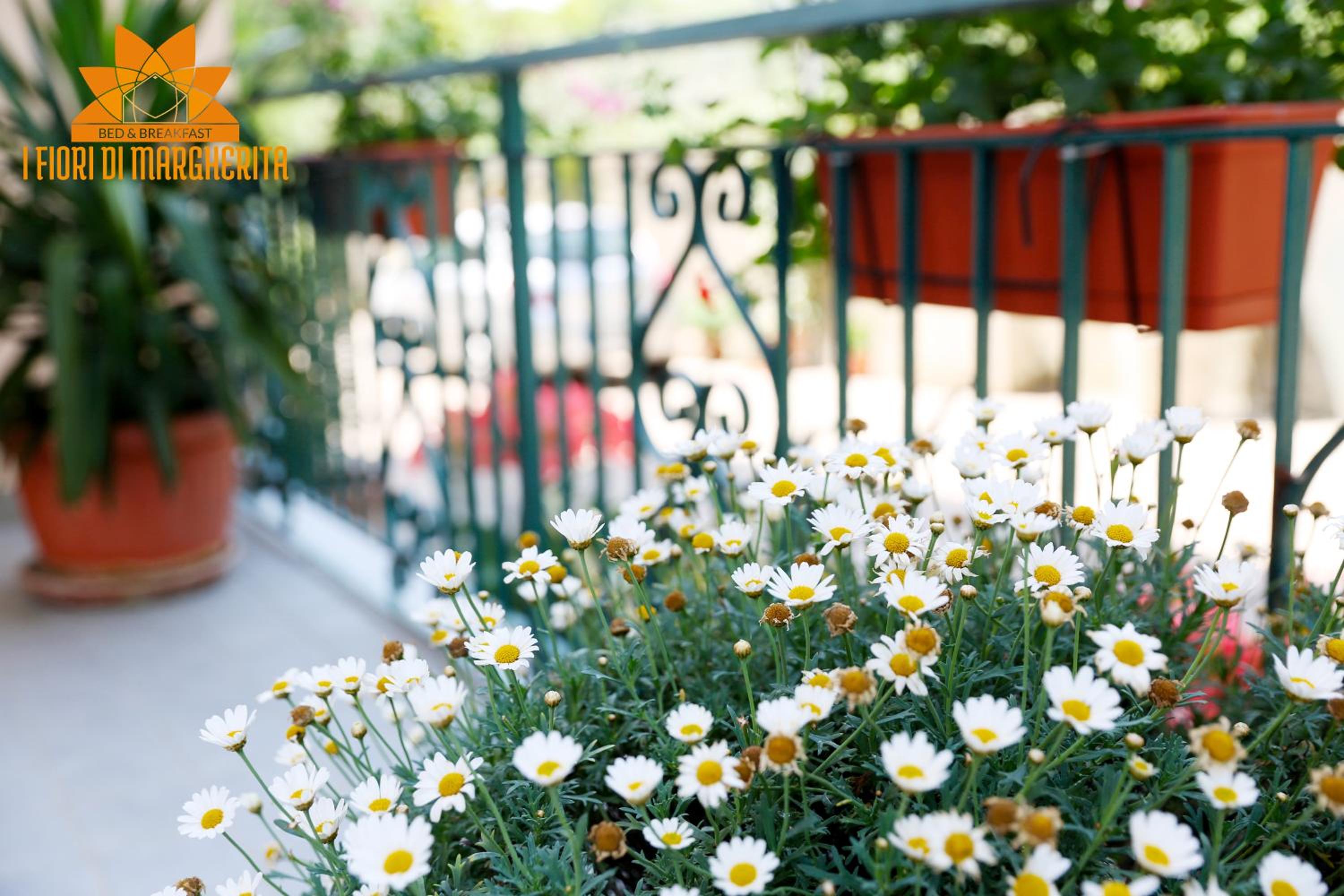 I Fiori di Margherita Luxury B&B
