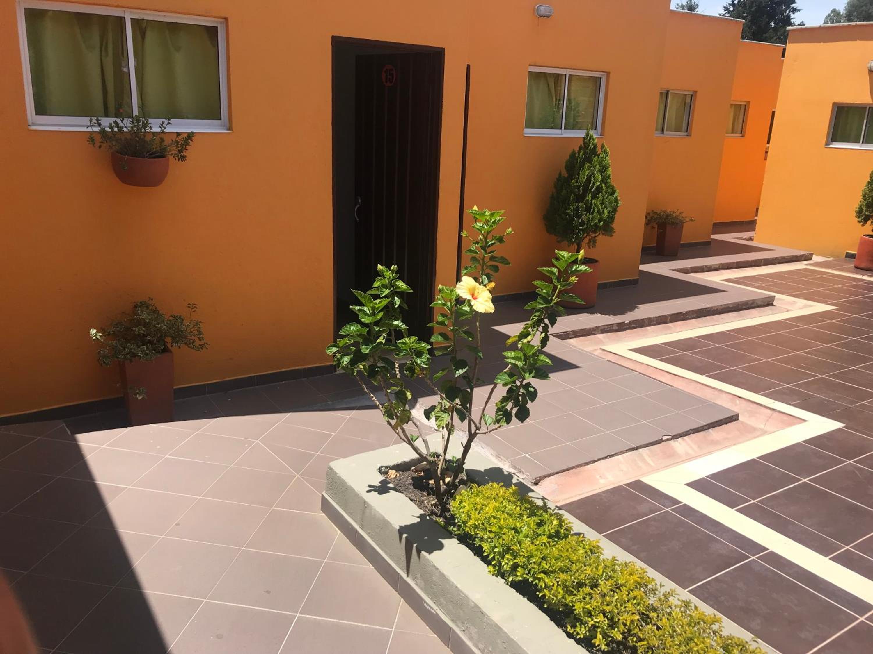 Hostal El Hangar view 3