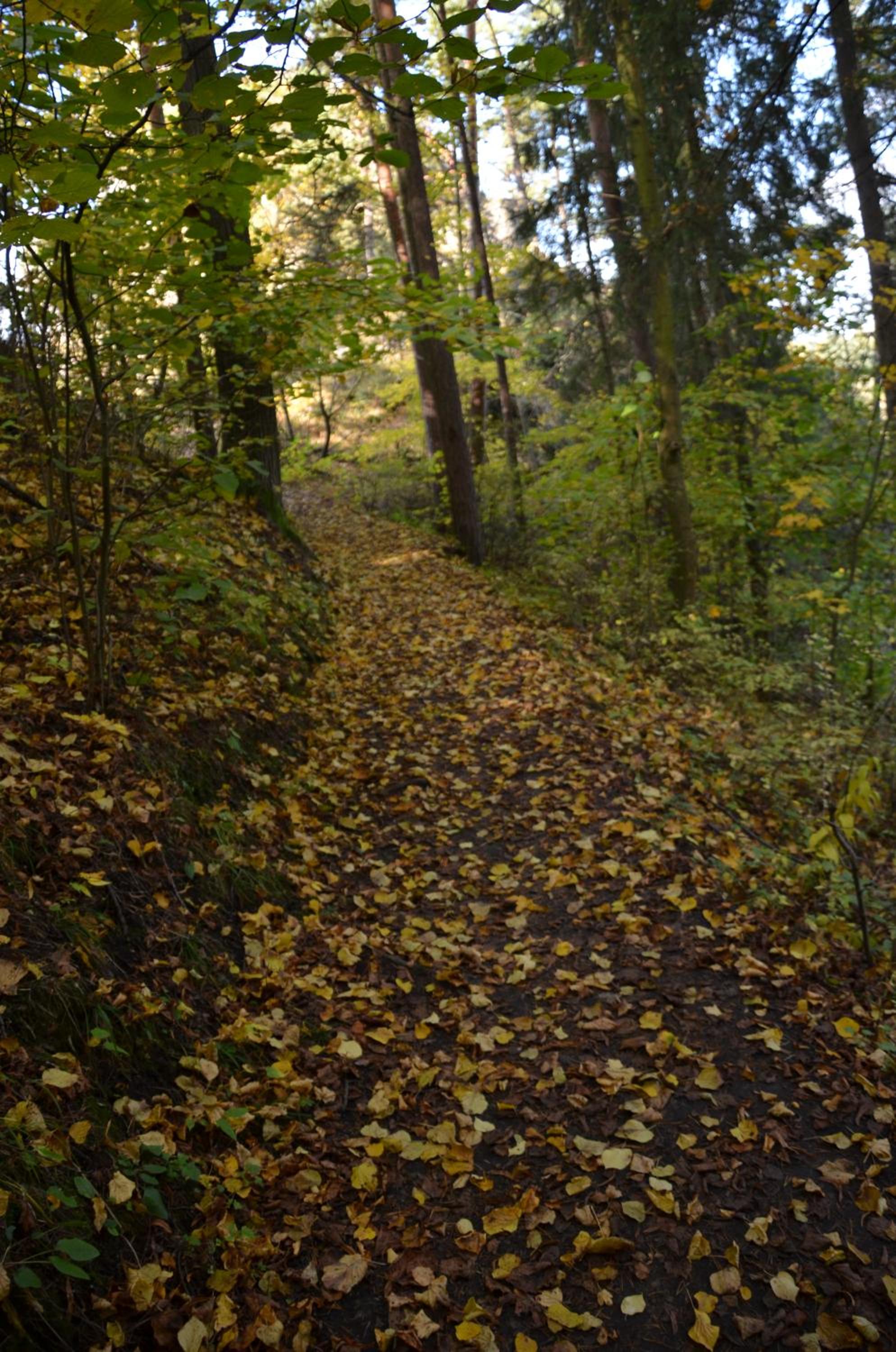 Photo 46