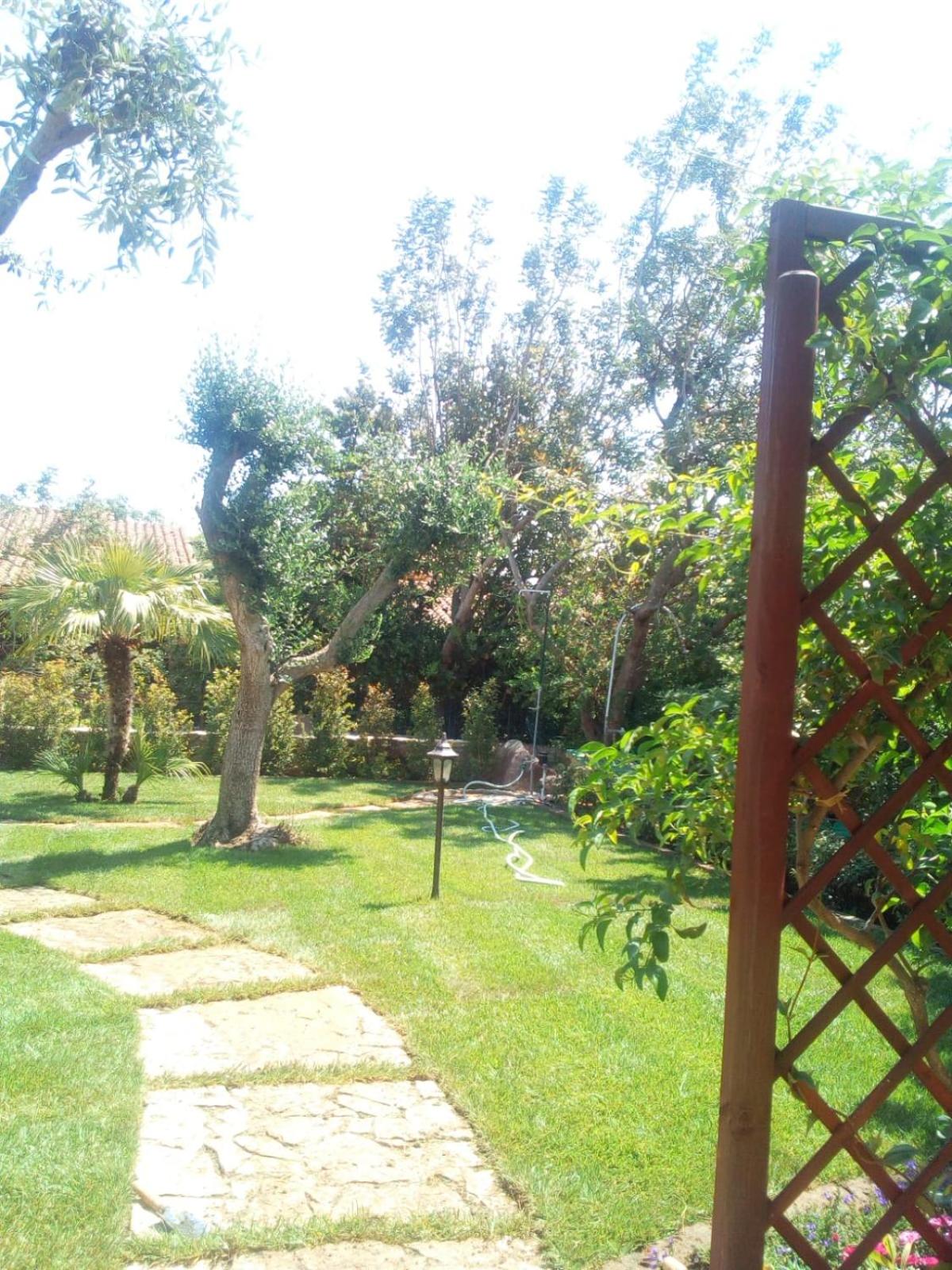 Photo 31