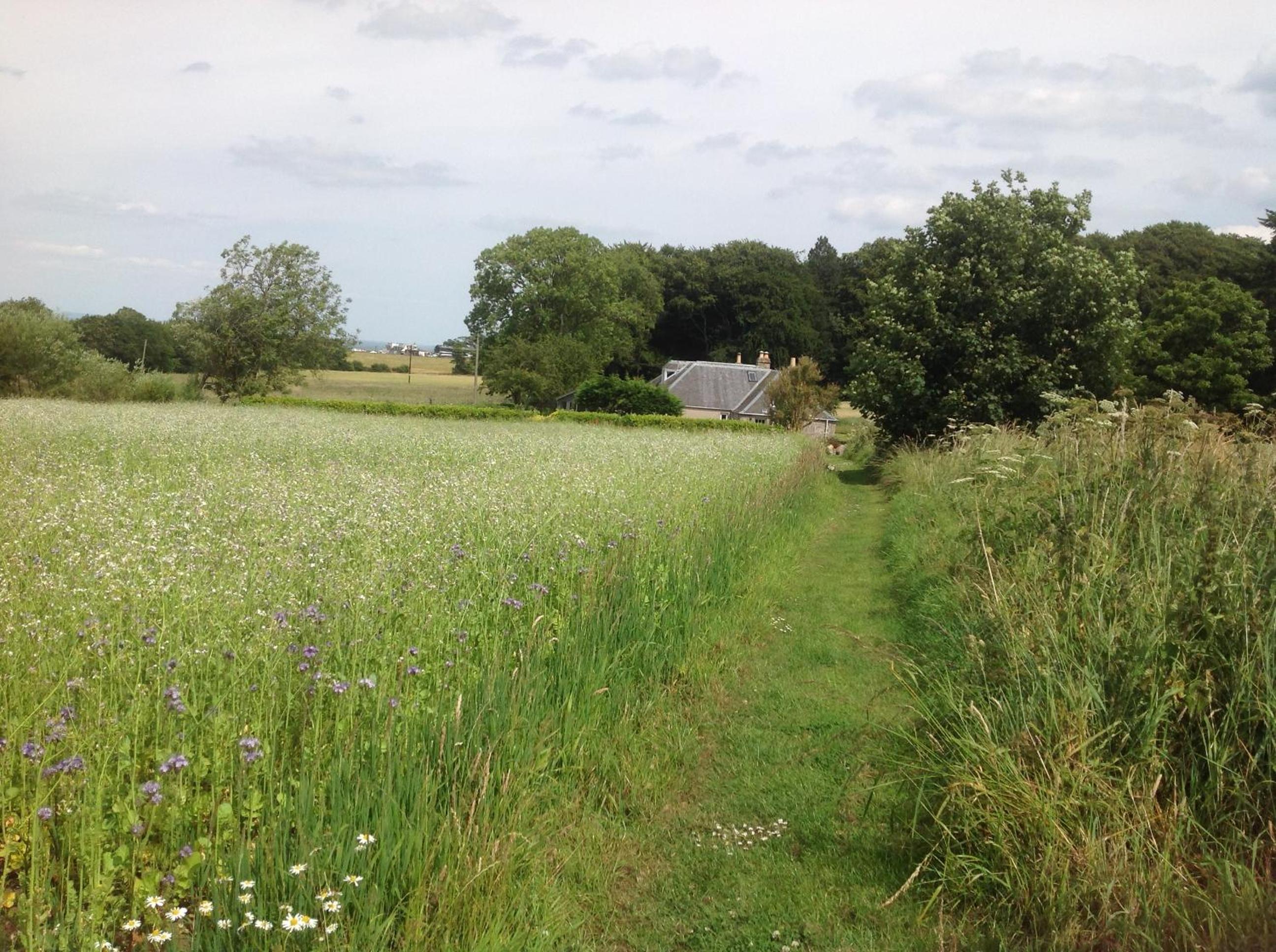 Balmungo Cottage B&B, photo 35