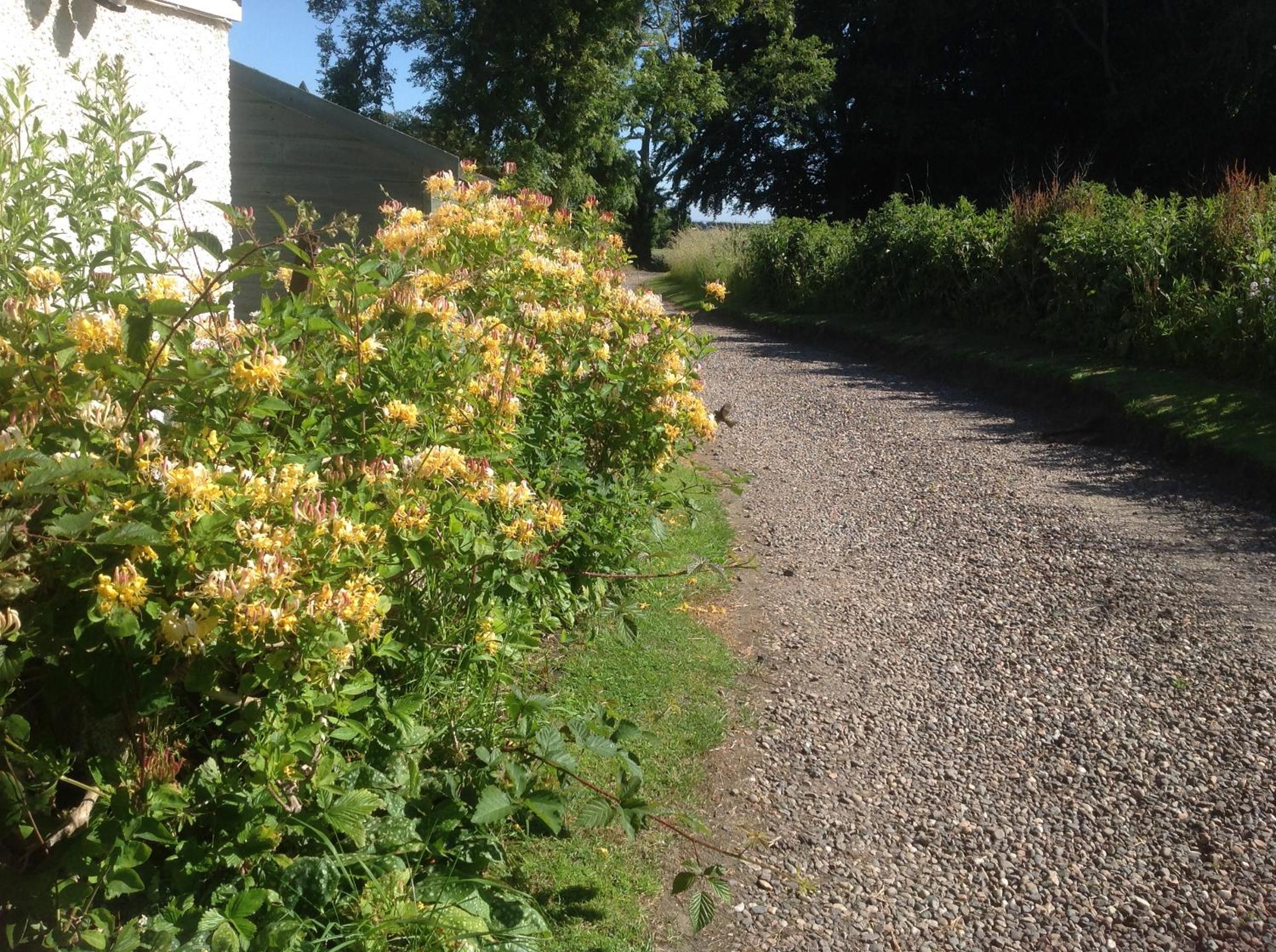 Balmungo Cottage B&B, photo 20