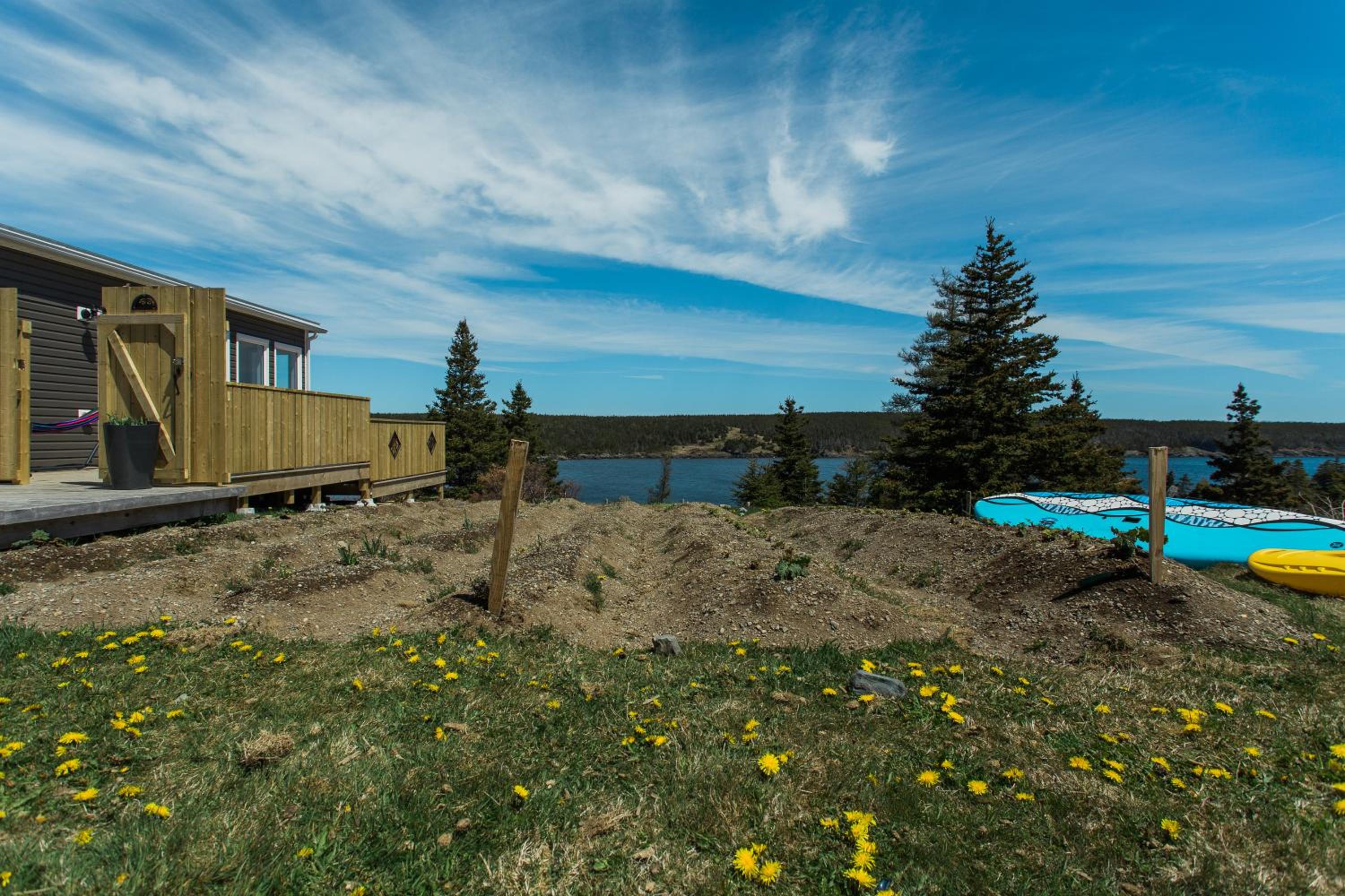 Whale House Guest House