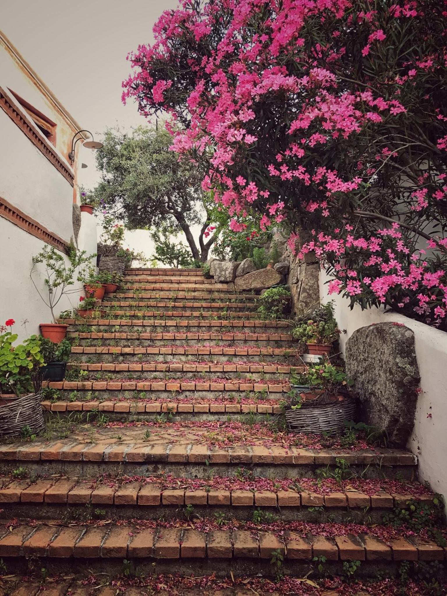 Locanda Tipica Sa Corte