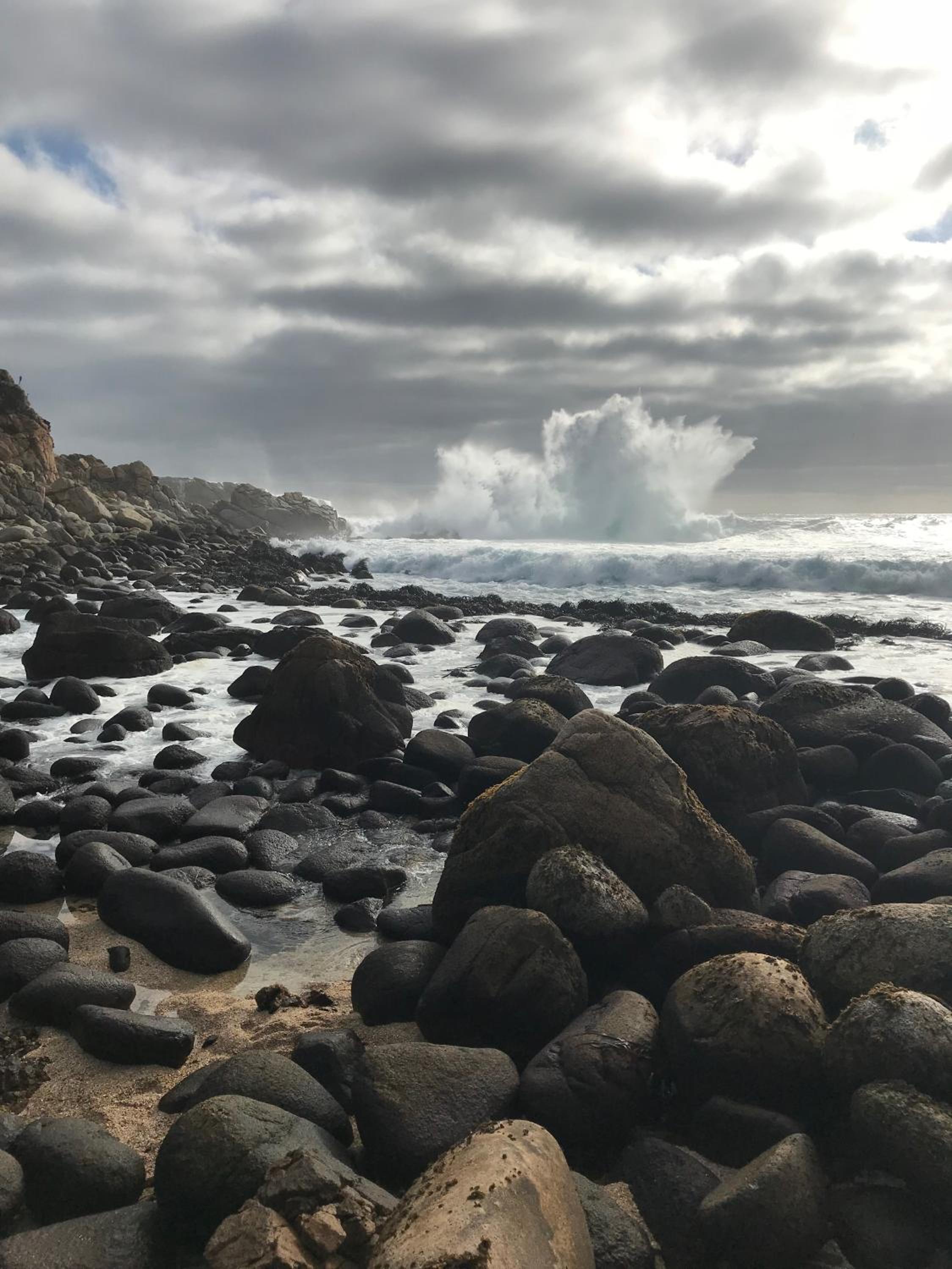 Tunquen Magico