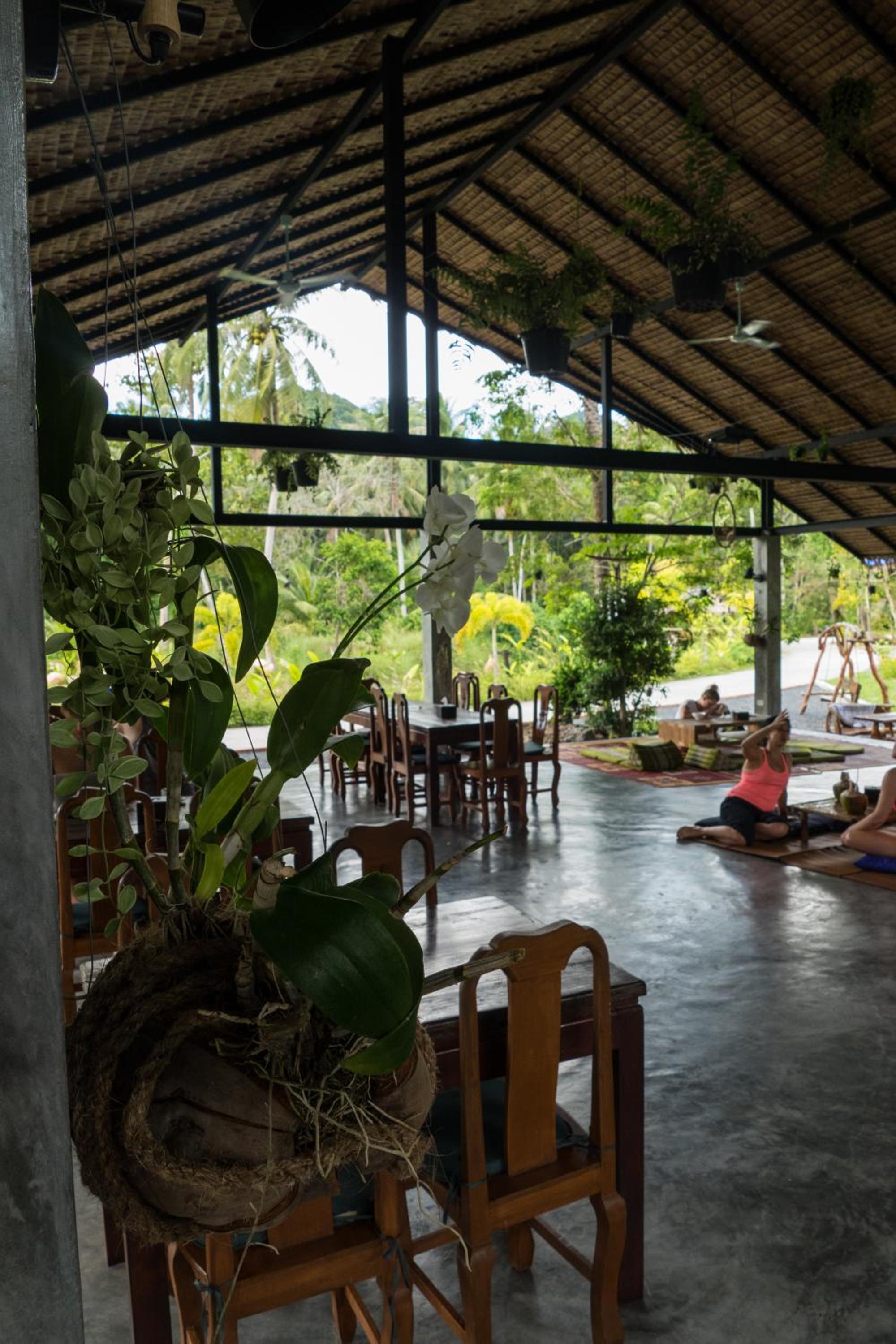 Wonderland Healing Center