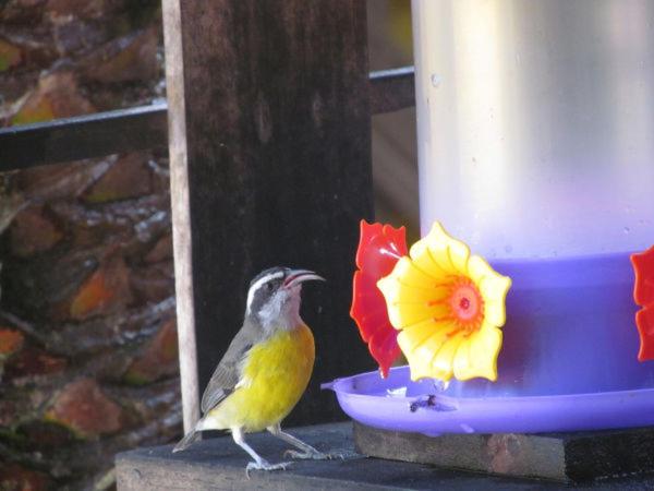 Photo 40