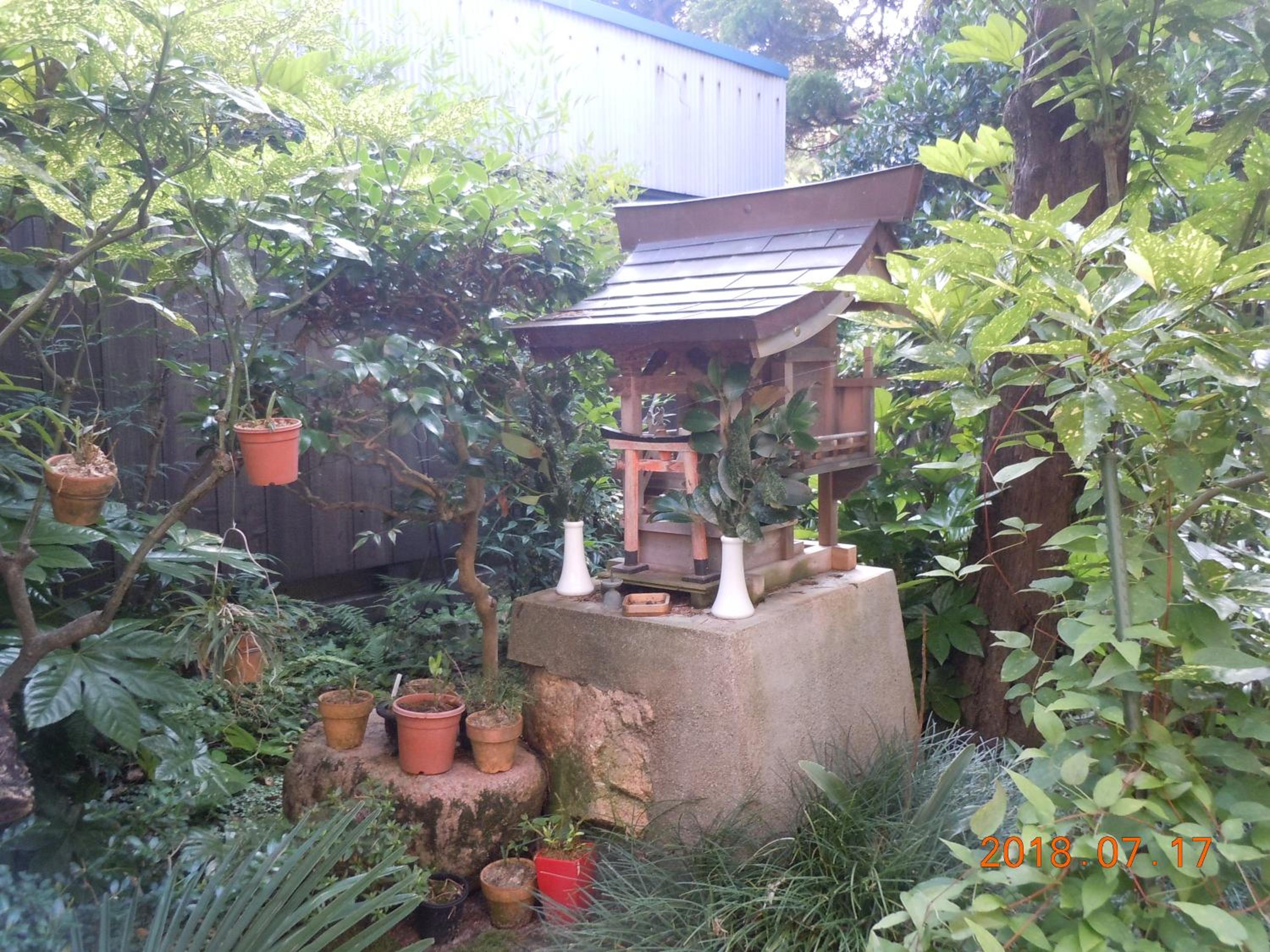 Photo 10