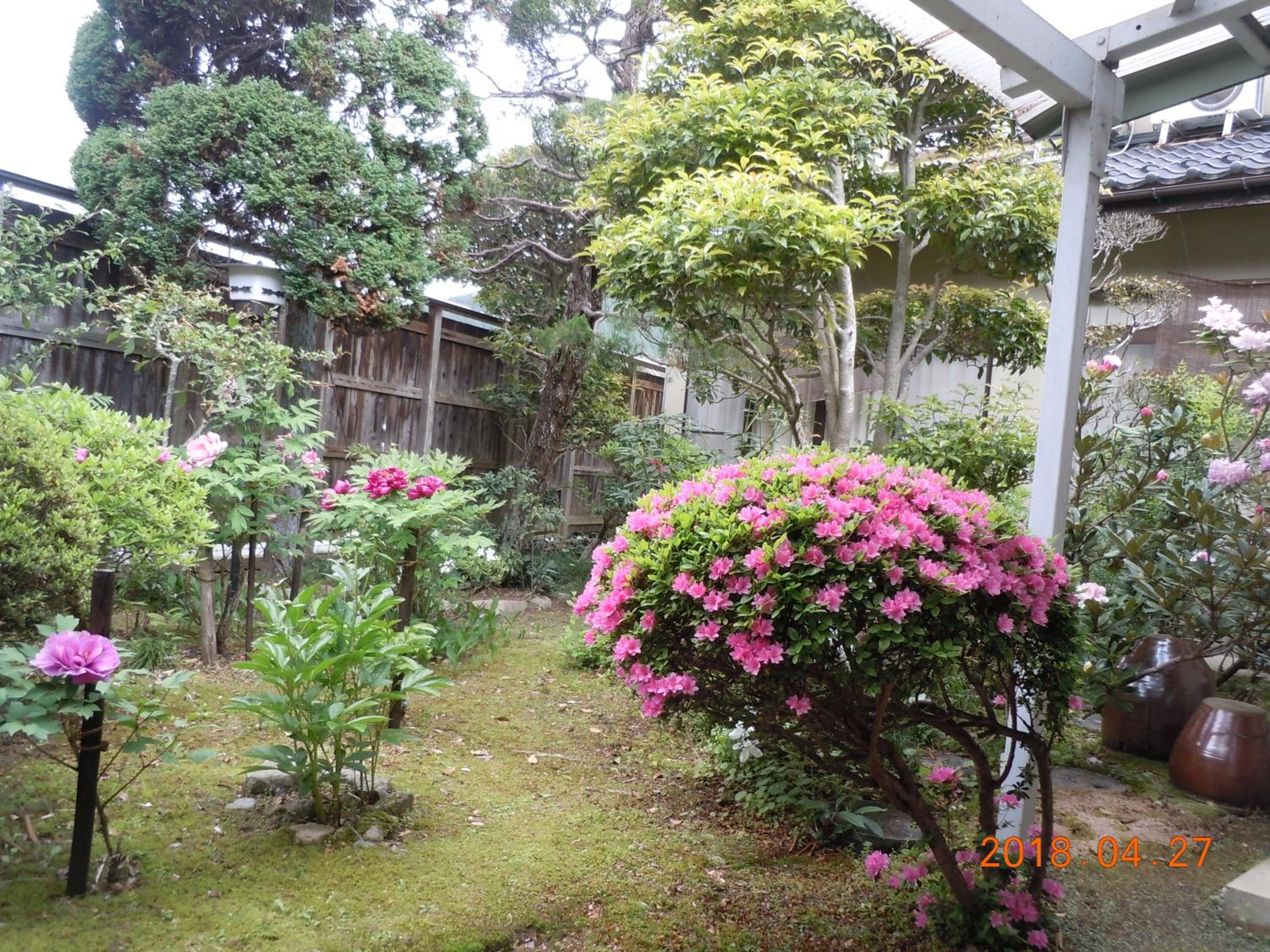 Photo 9