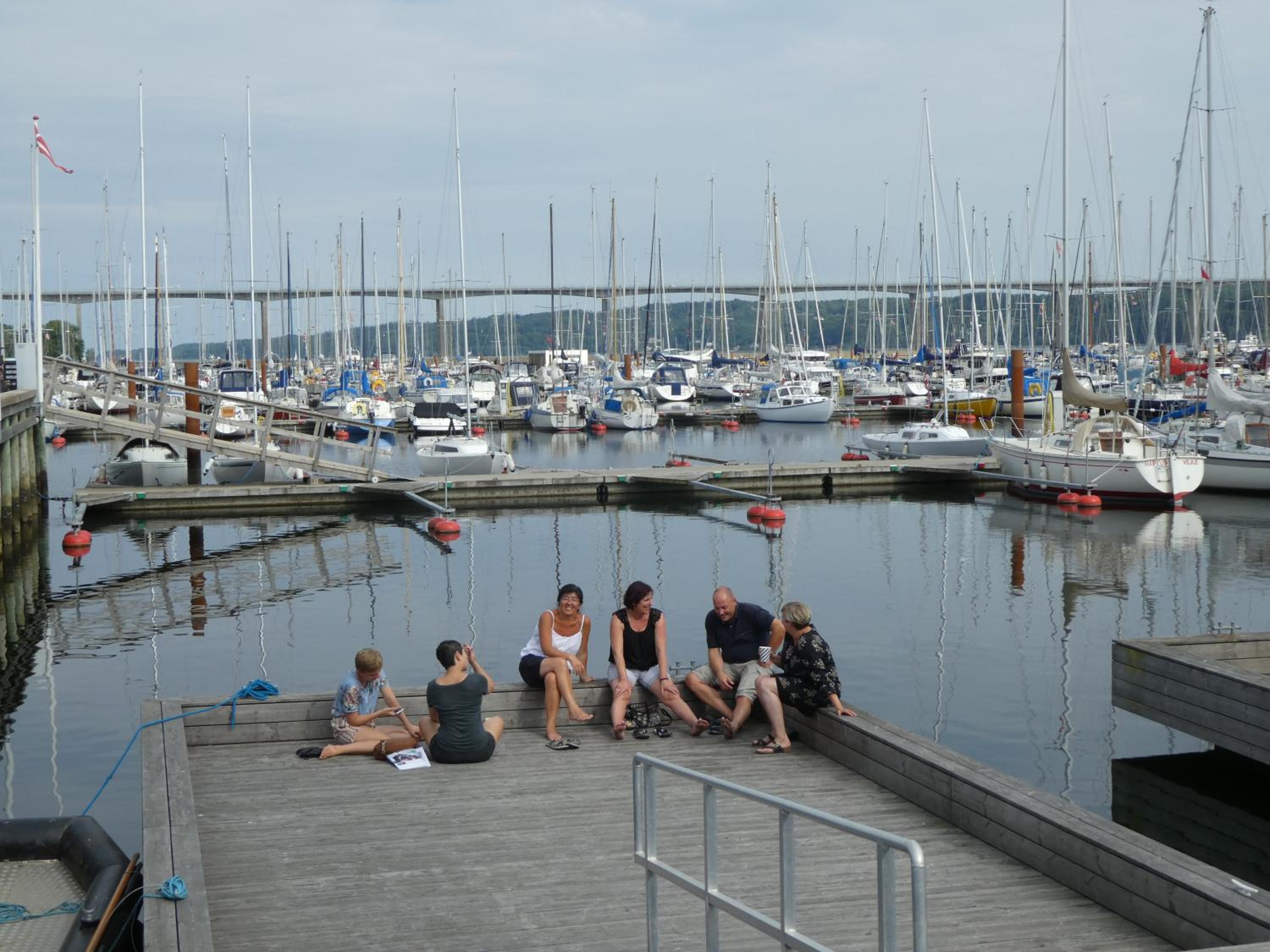 Vejle City Camping view 3