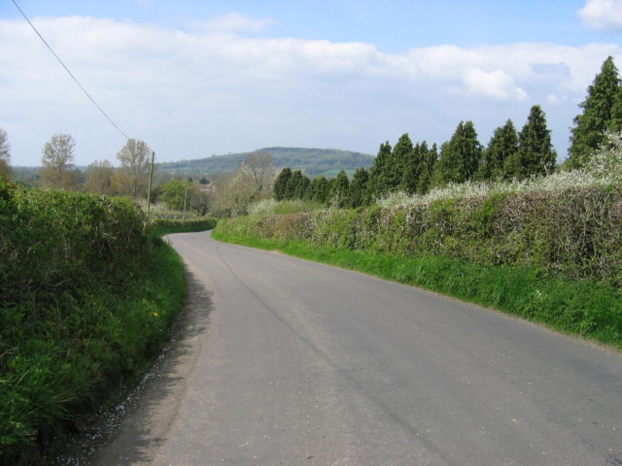 Photo 41