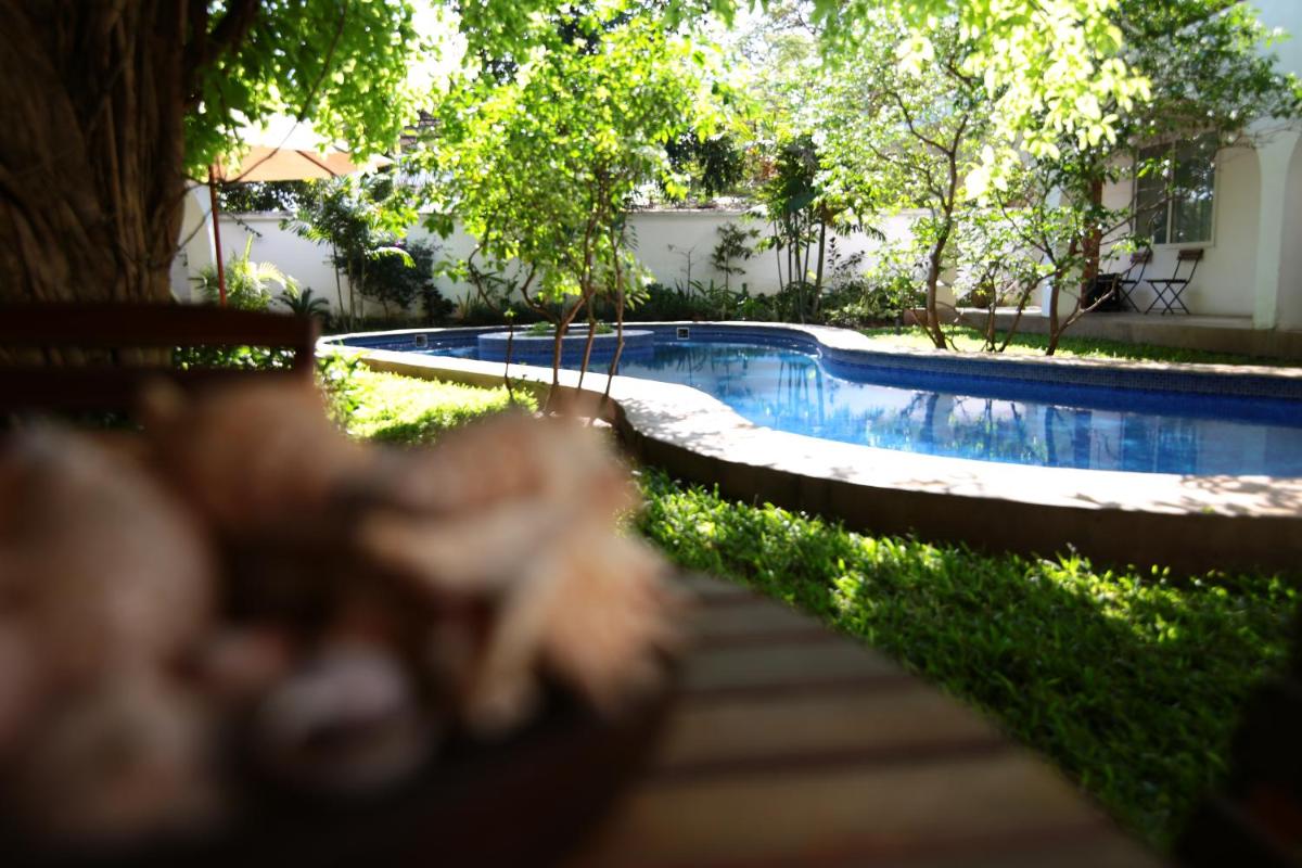 swimming pool