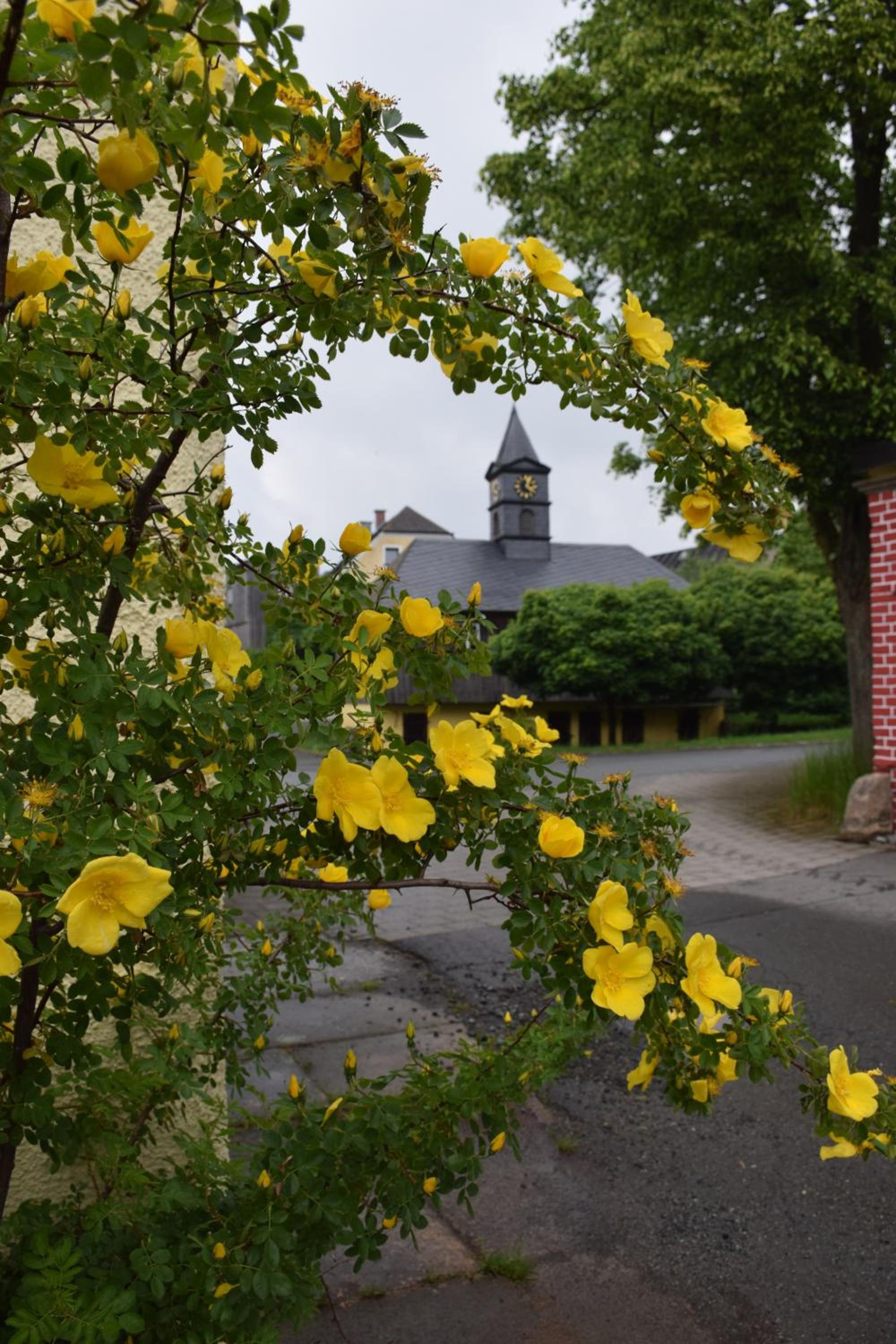 Ferienhof Schricker view 3