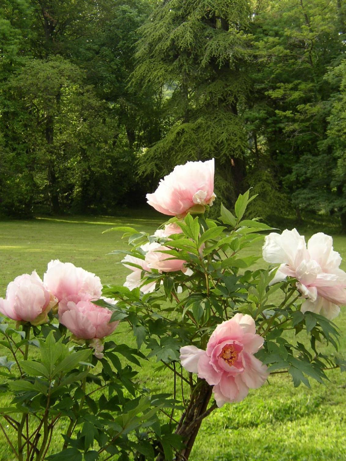 Le Domaine De Pomone view 3