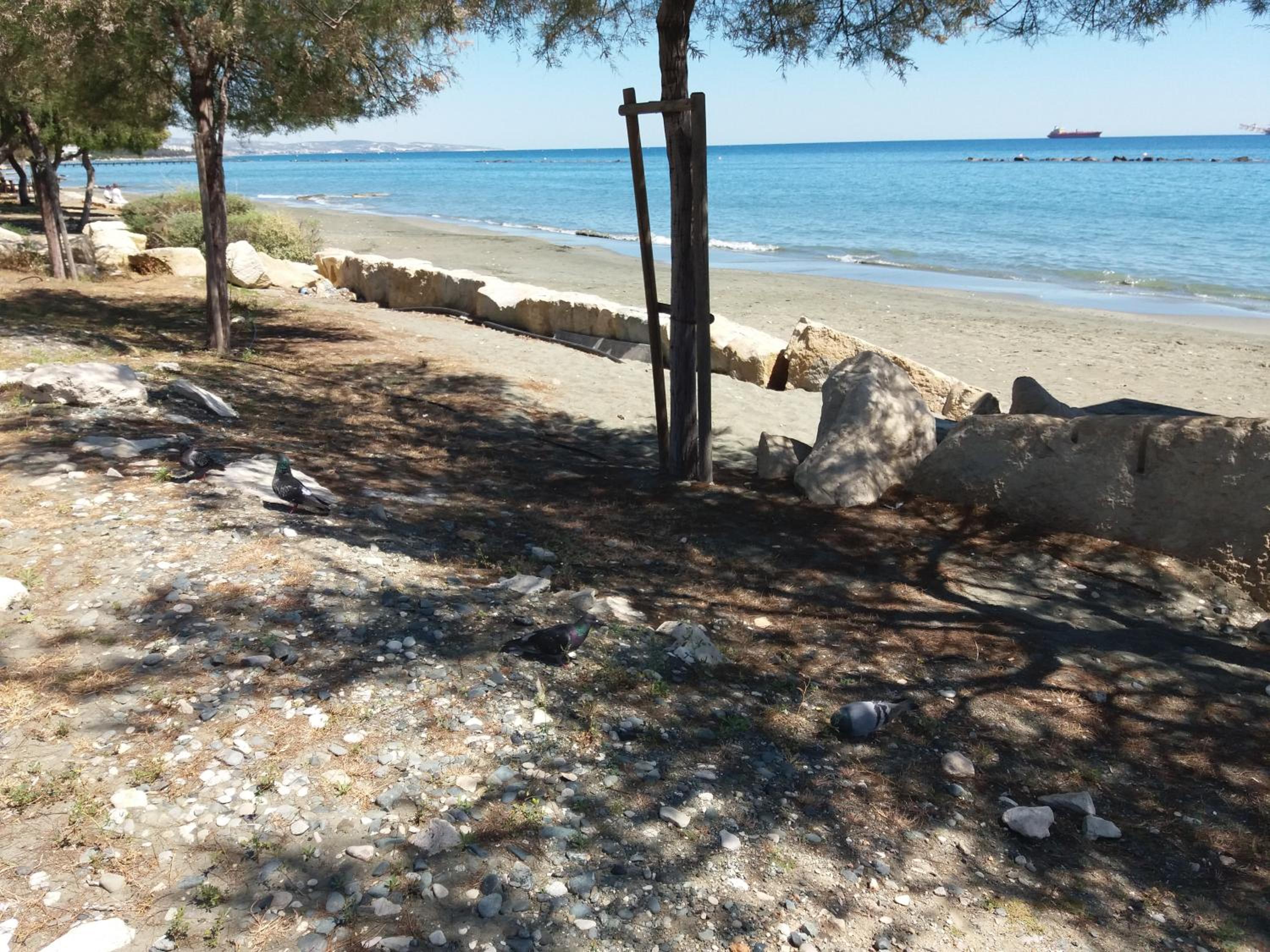 Mediterranean Breeze