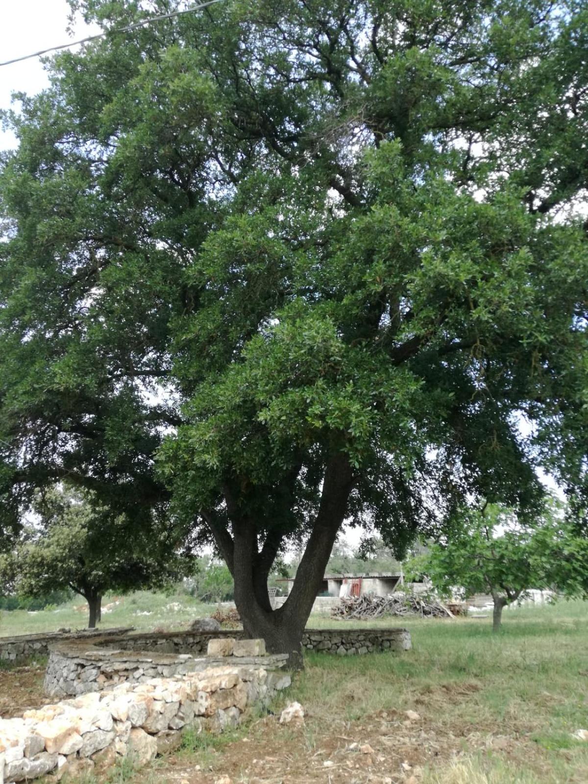 Supramurgia Agribistrot
