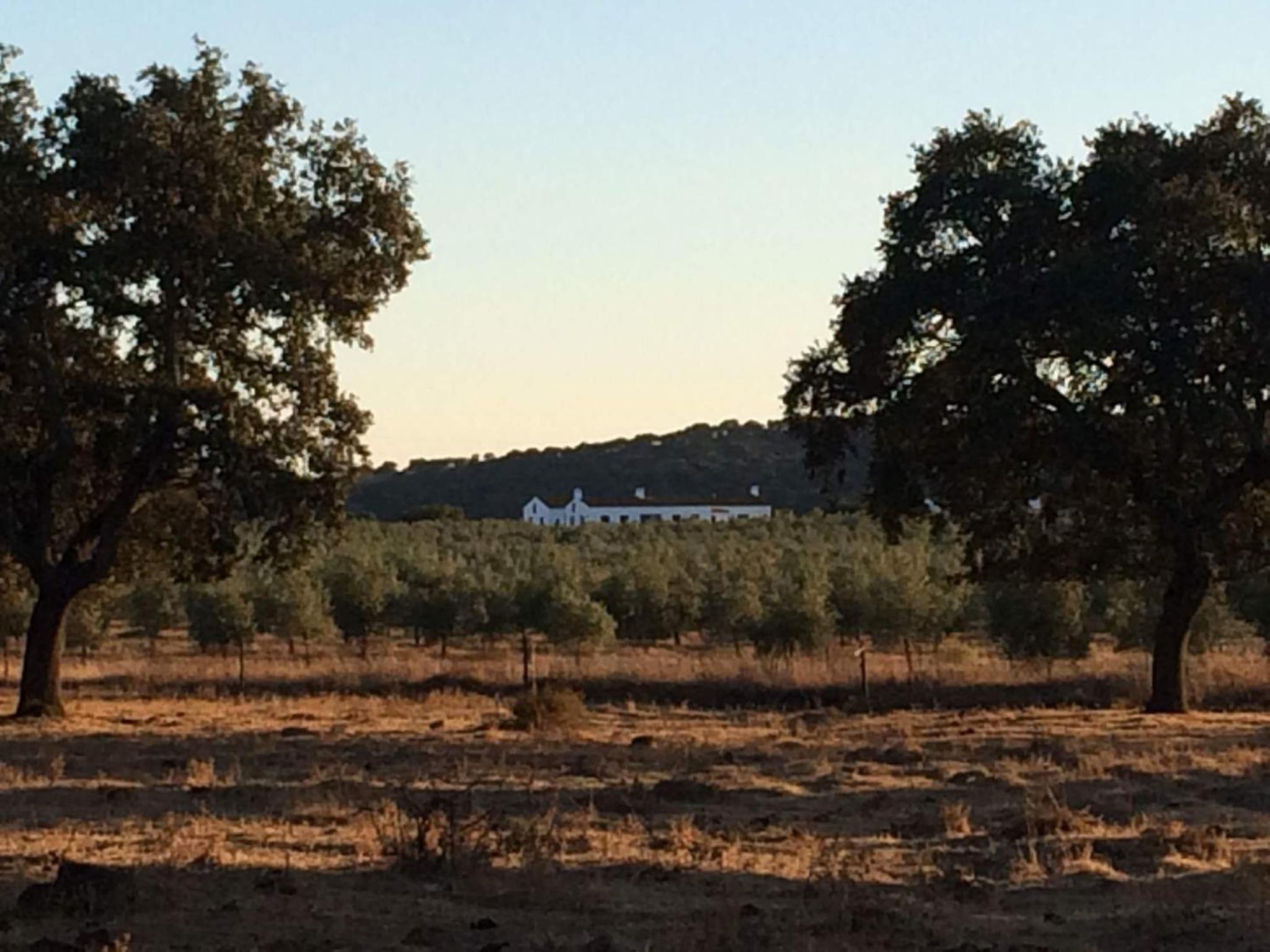 Herdade da Burquilheira Family Retreat view 2