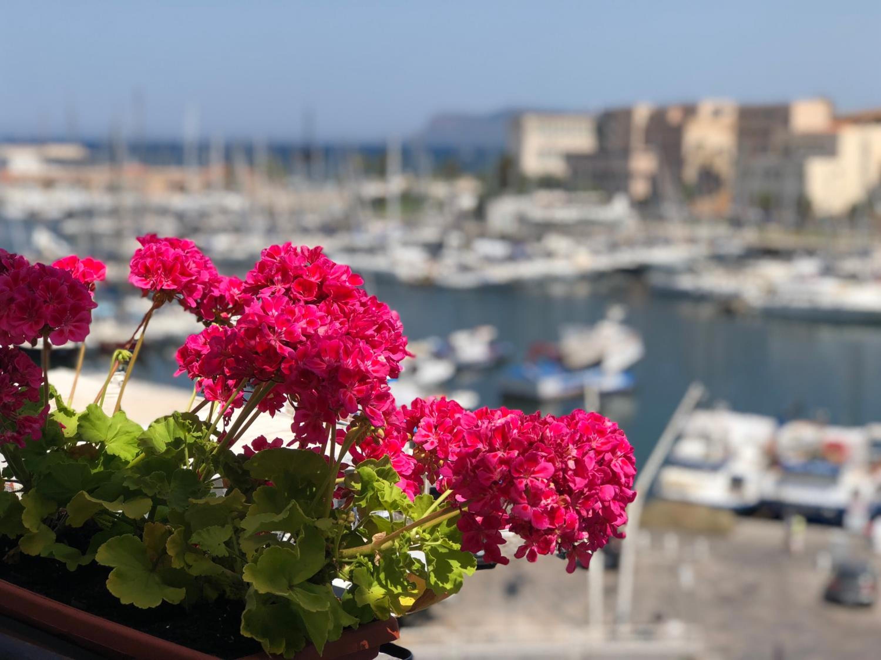 Kasa Kala Rooms & Apartments