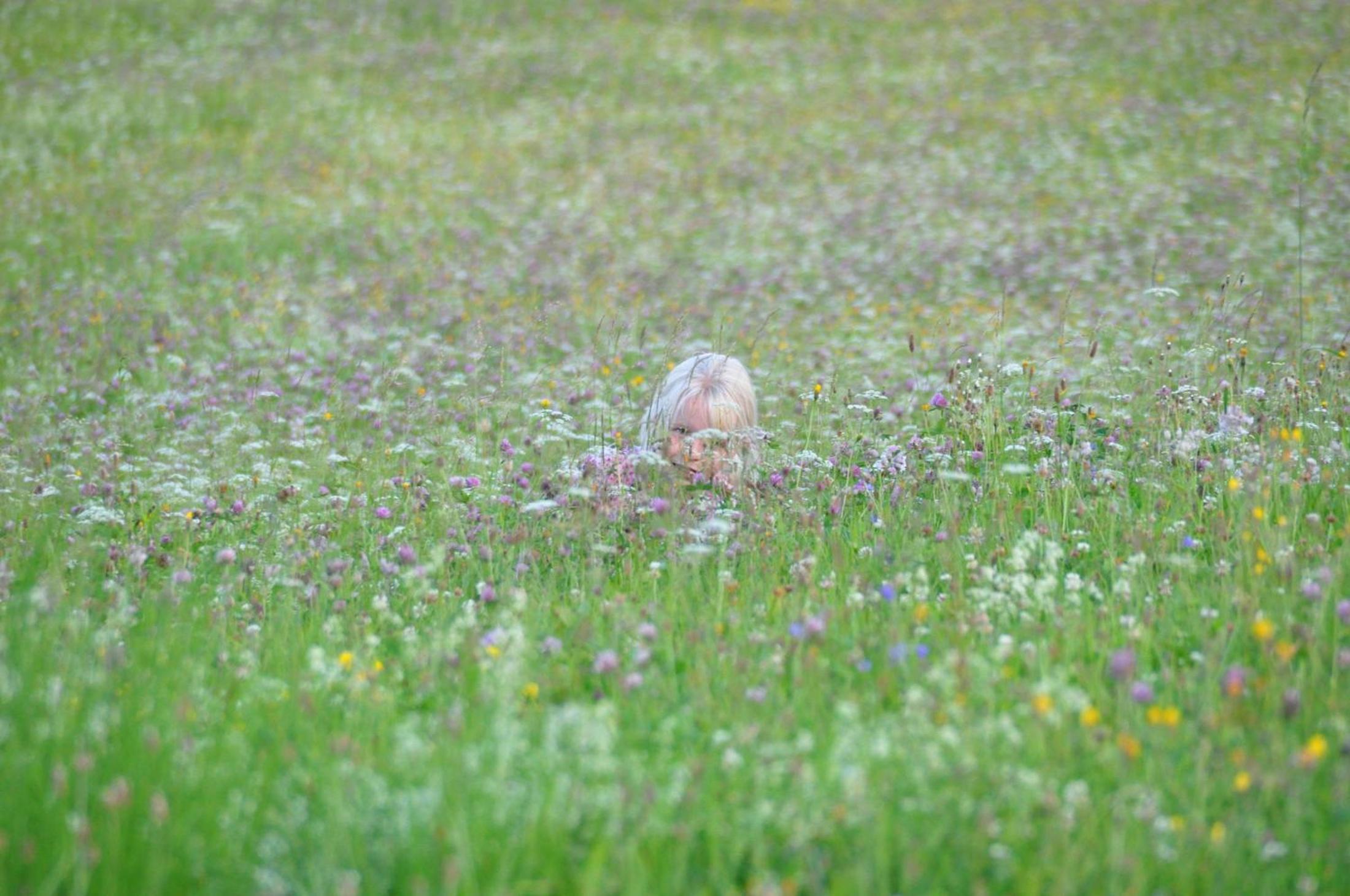 Schlossberghof - Property Image 20