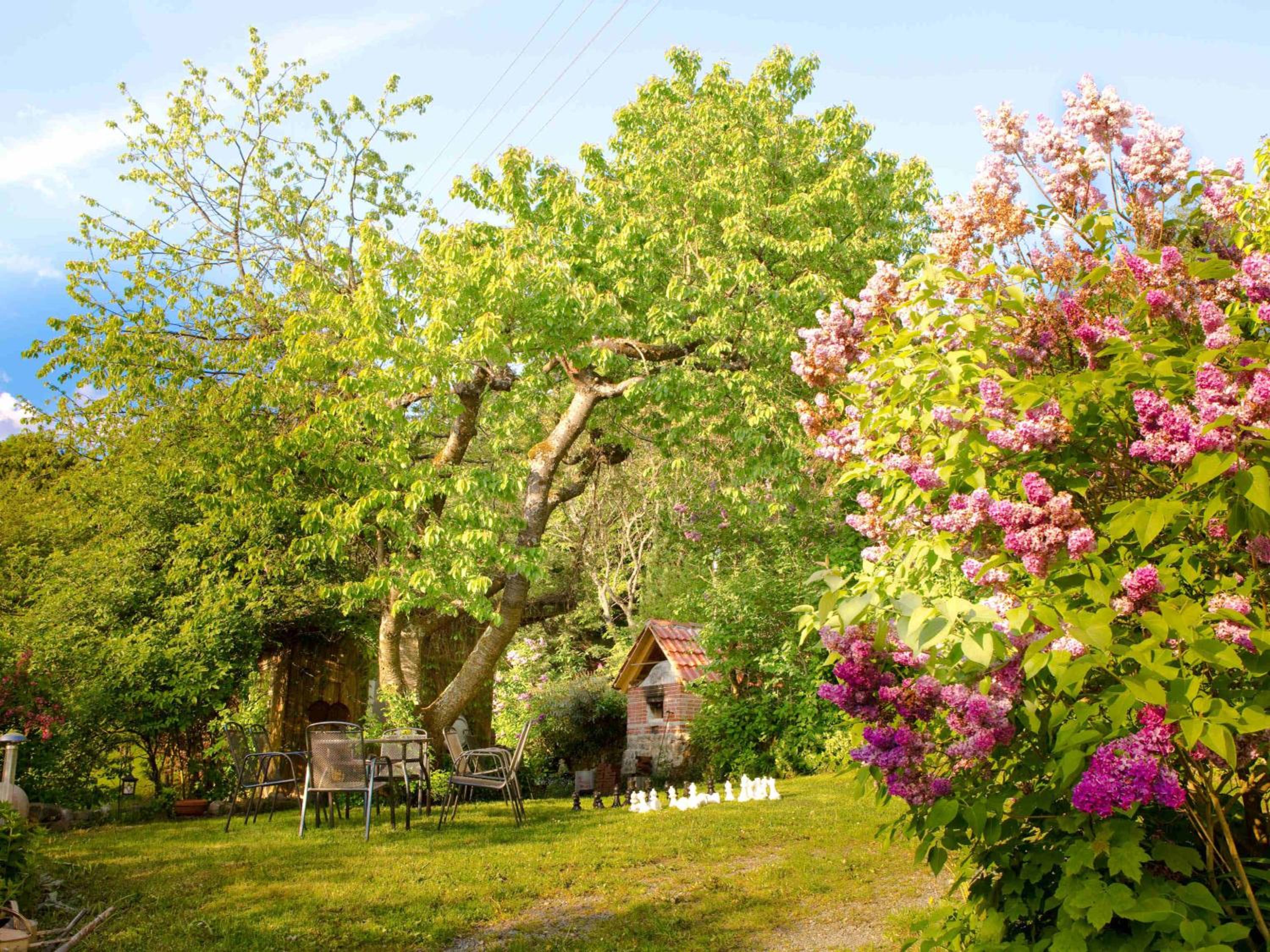 Schlossberghof - Property Image 42