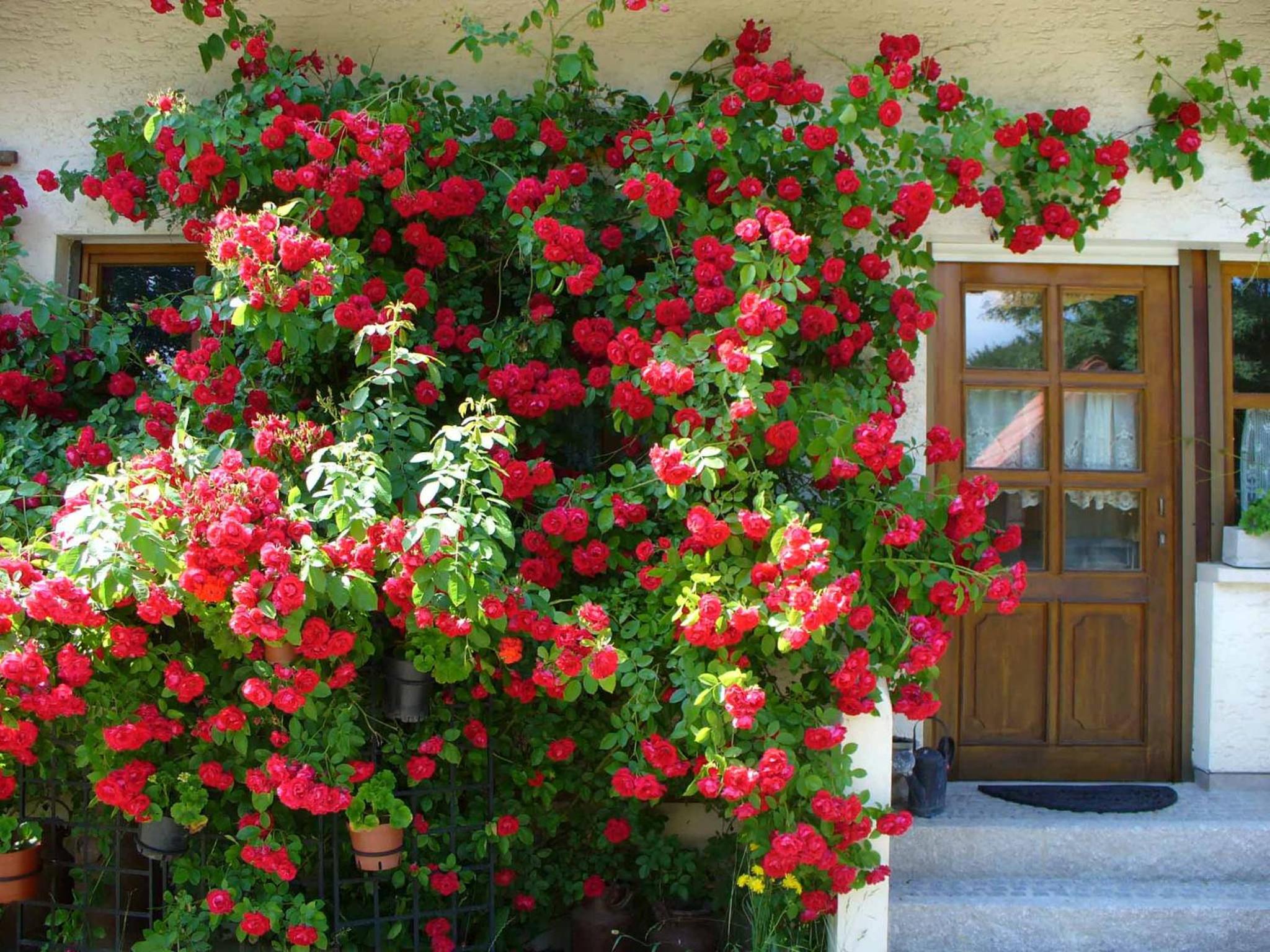 Schlossberghof - Property Image 31