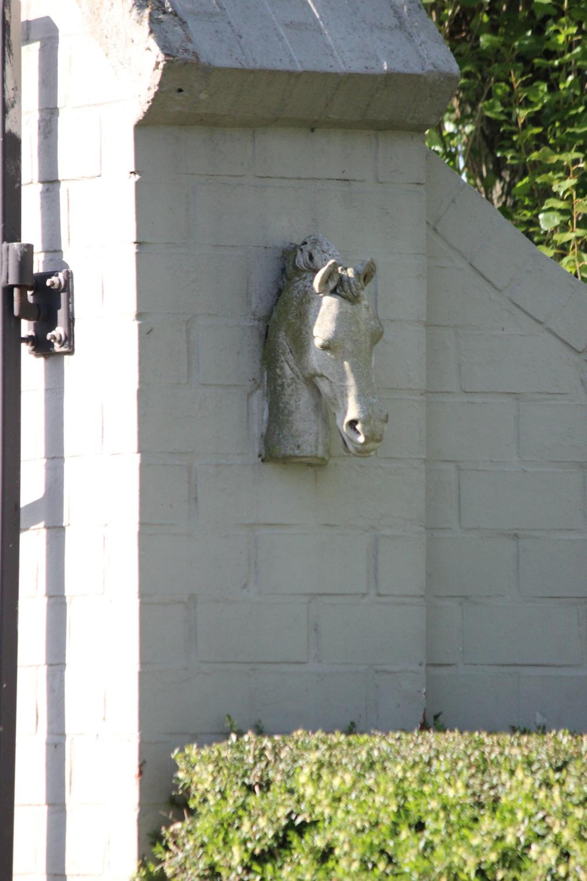 Maneschijn****