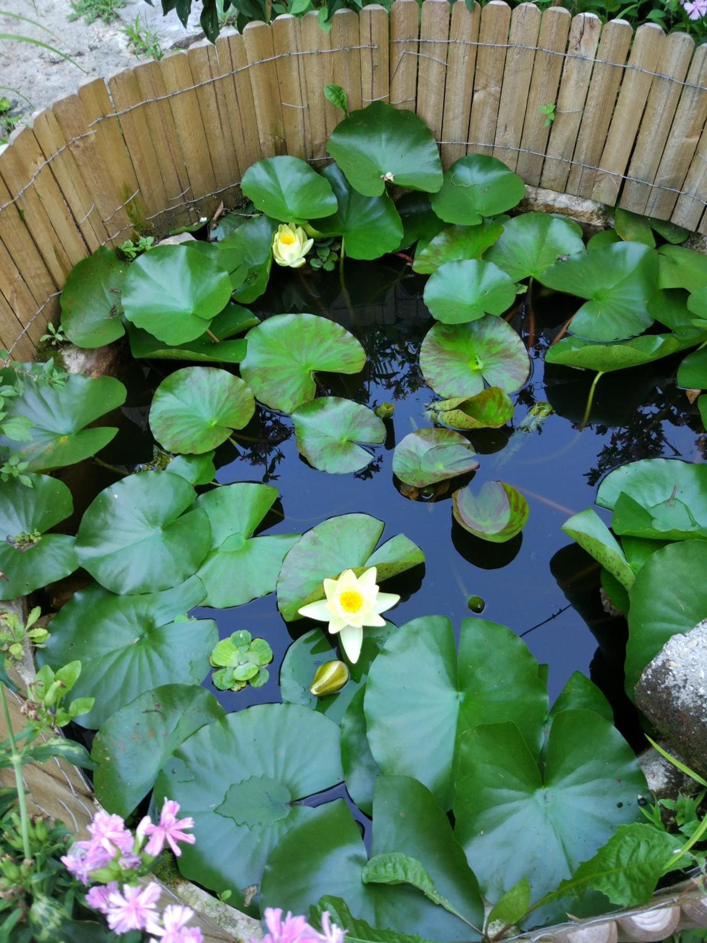 Photo 29