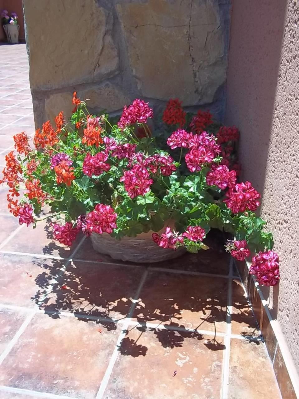 Photo 28